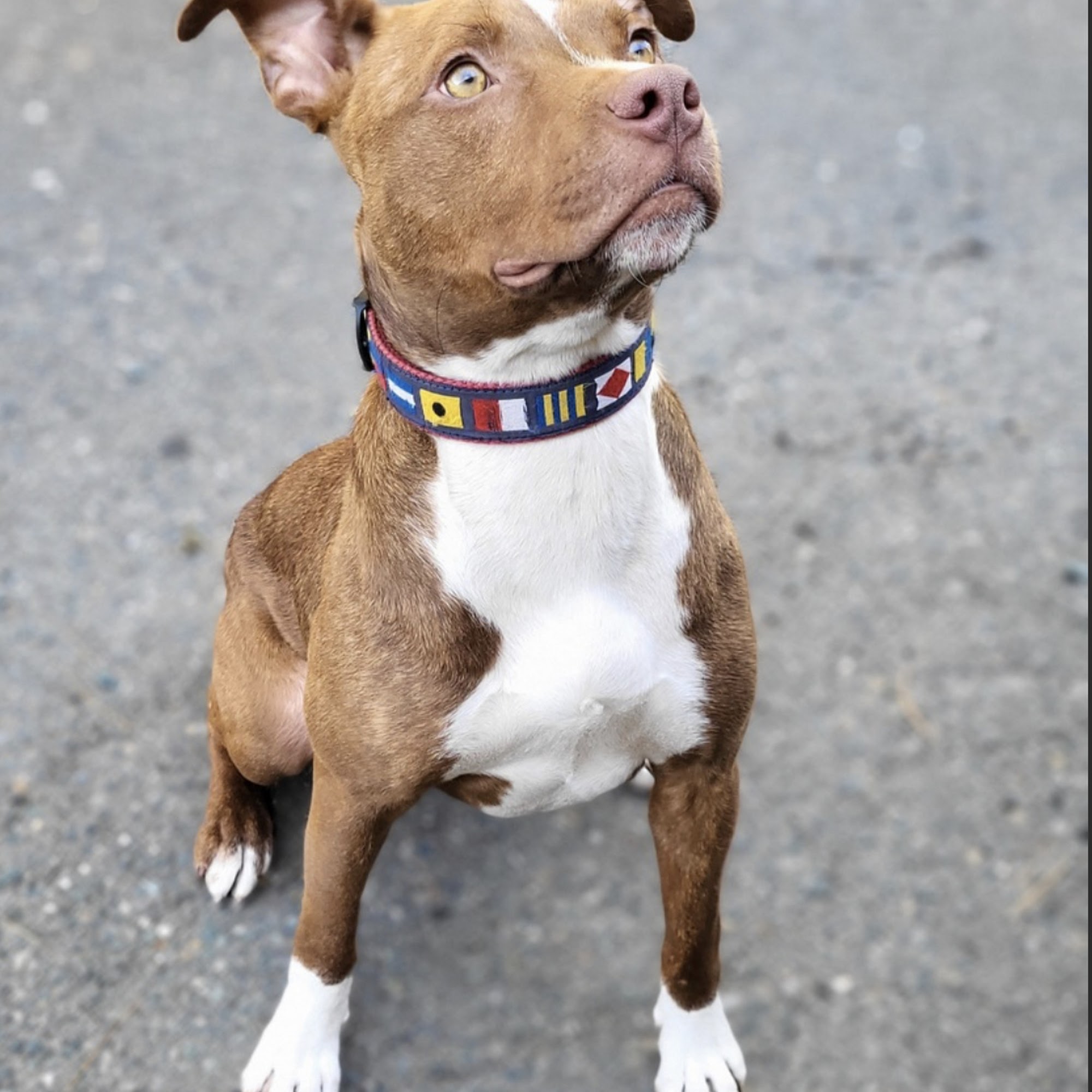 Our Family Veterinary Services Peabody