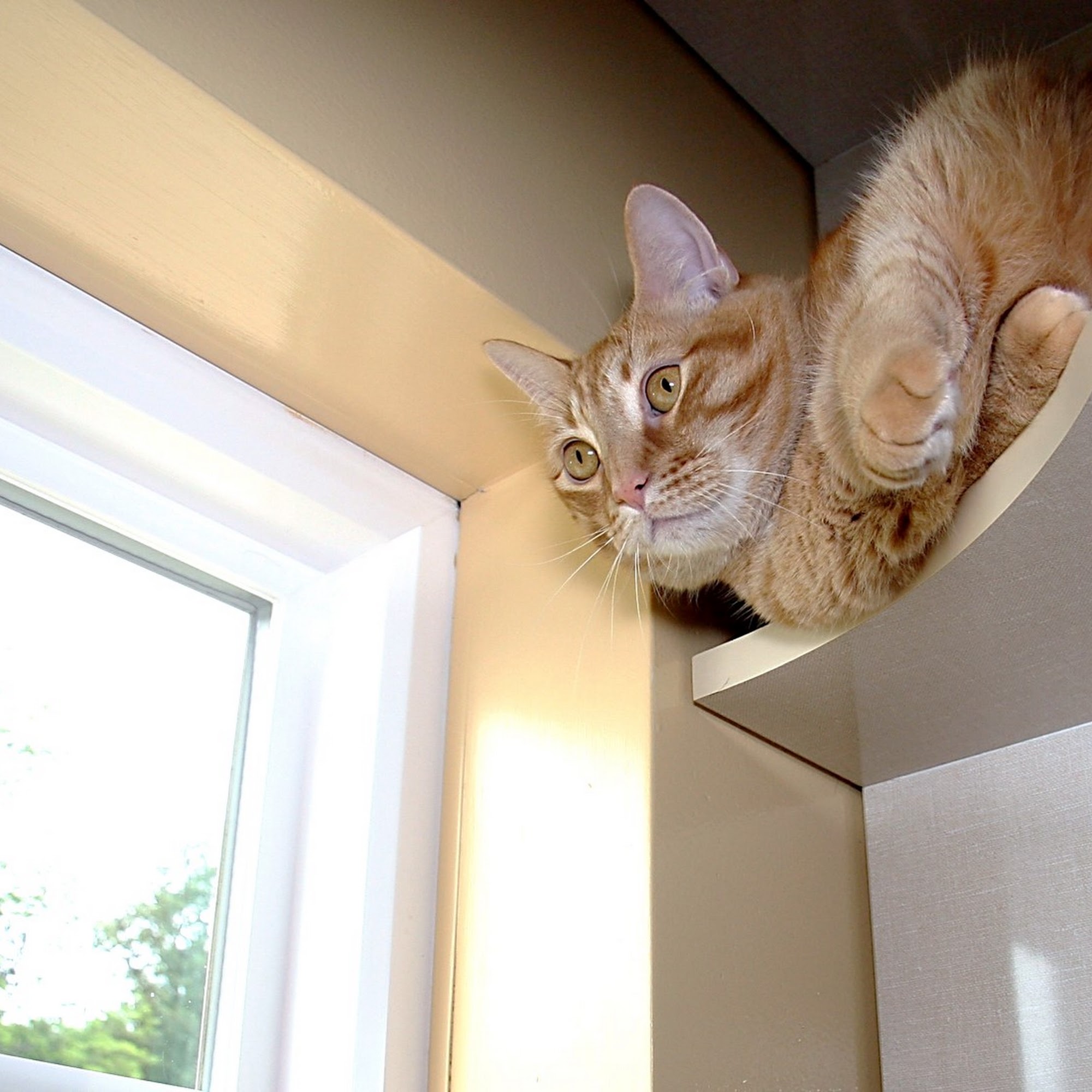 Shaker Hill Pet Resort Pittsfield