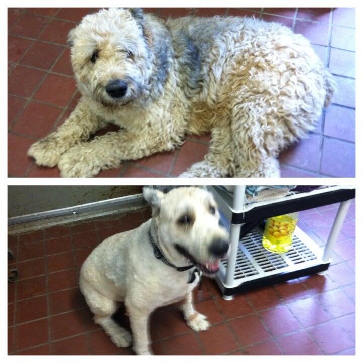 Love Us And Leave Us Pittsfield