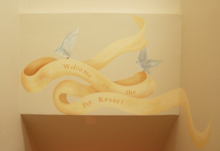 VCA Plymouth Animal Hospital and Pet Resort Plymouth