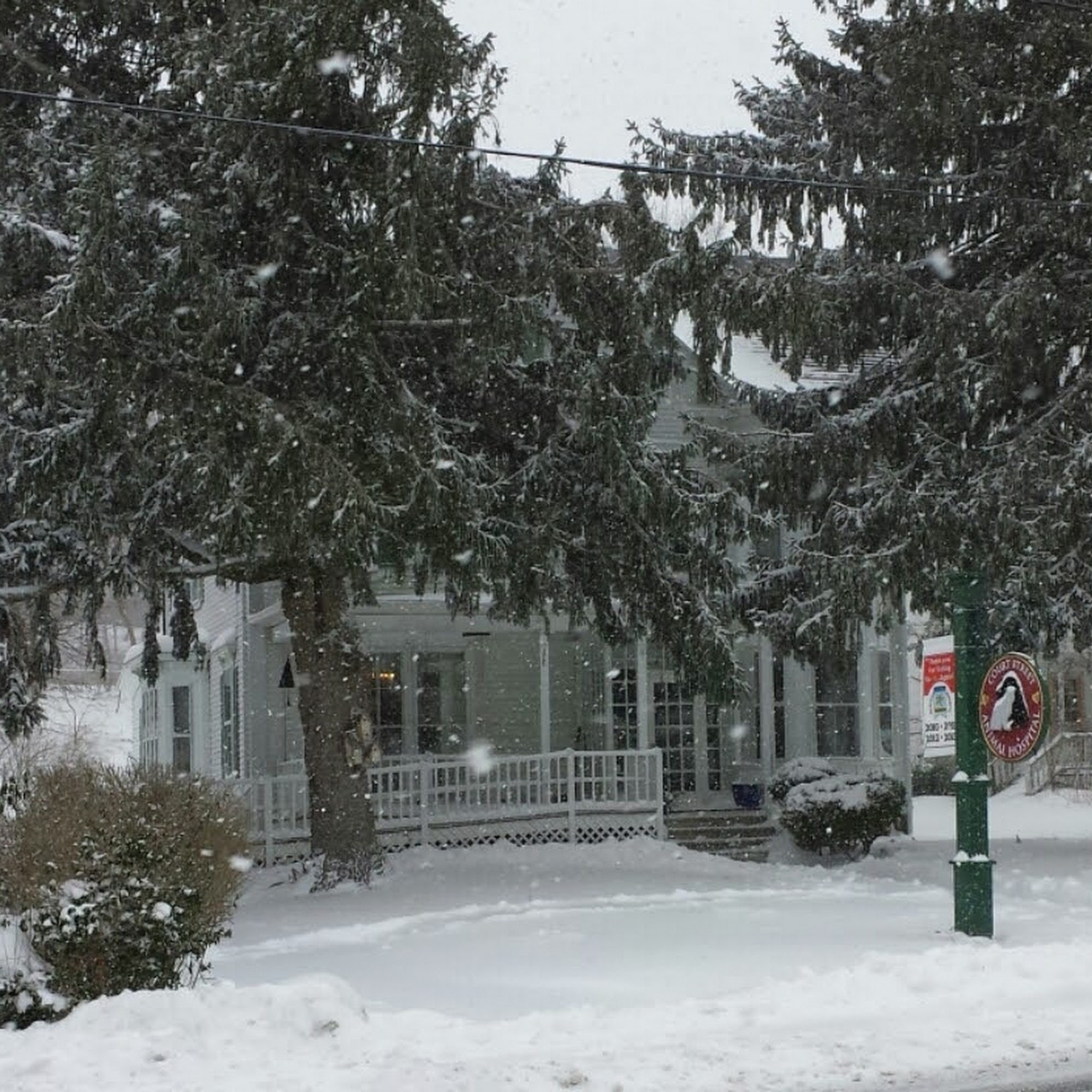 Court Street Animal Hospital Plymouth