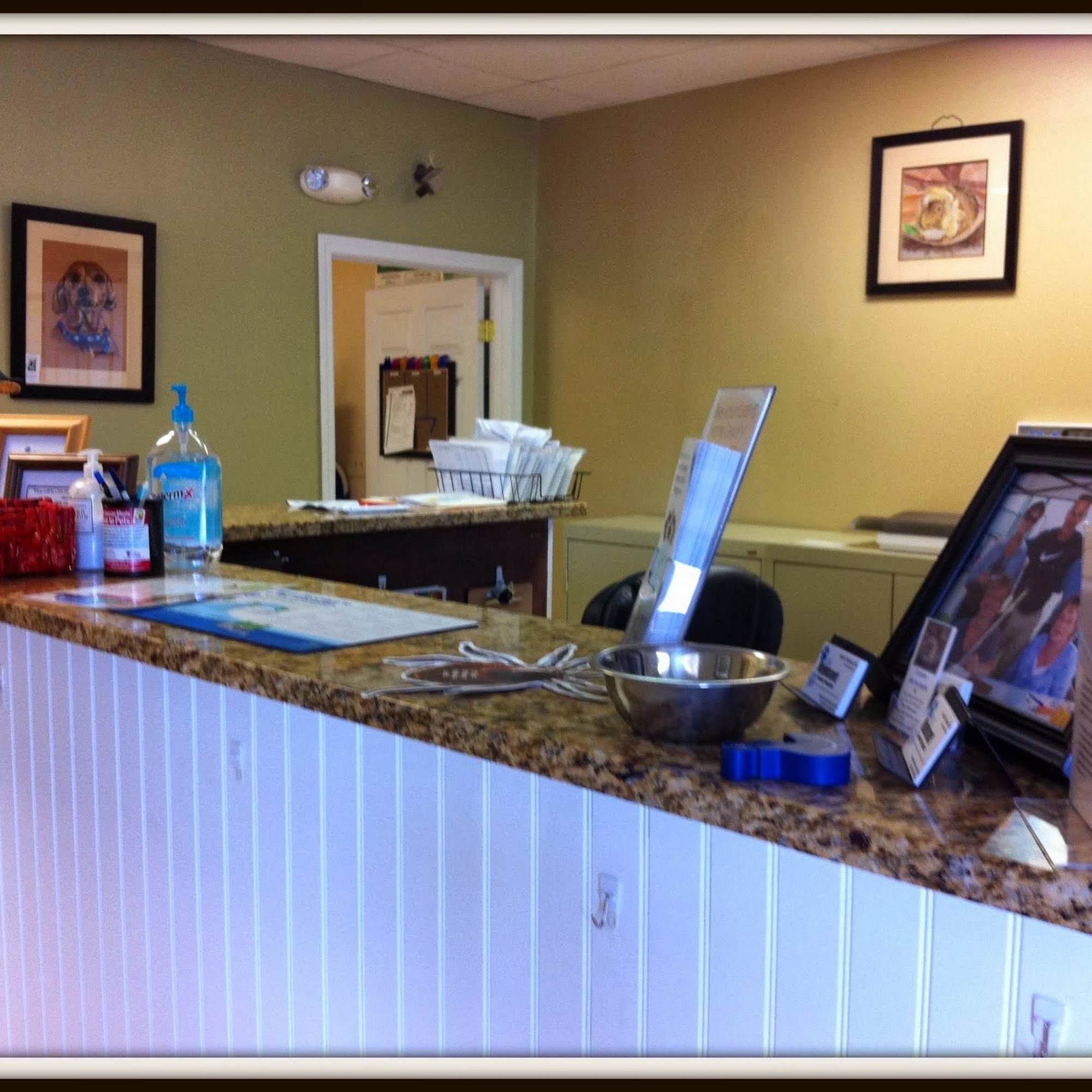 Manomet Animal Hospital Plymouth