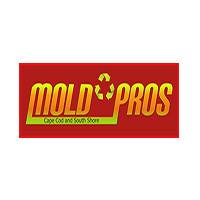 Mold Pros