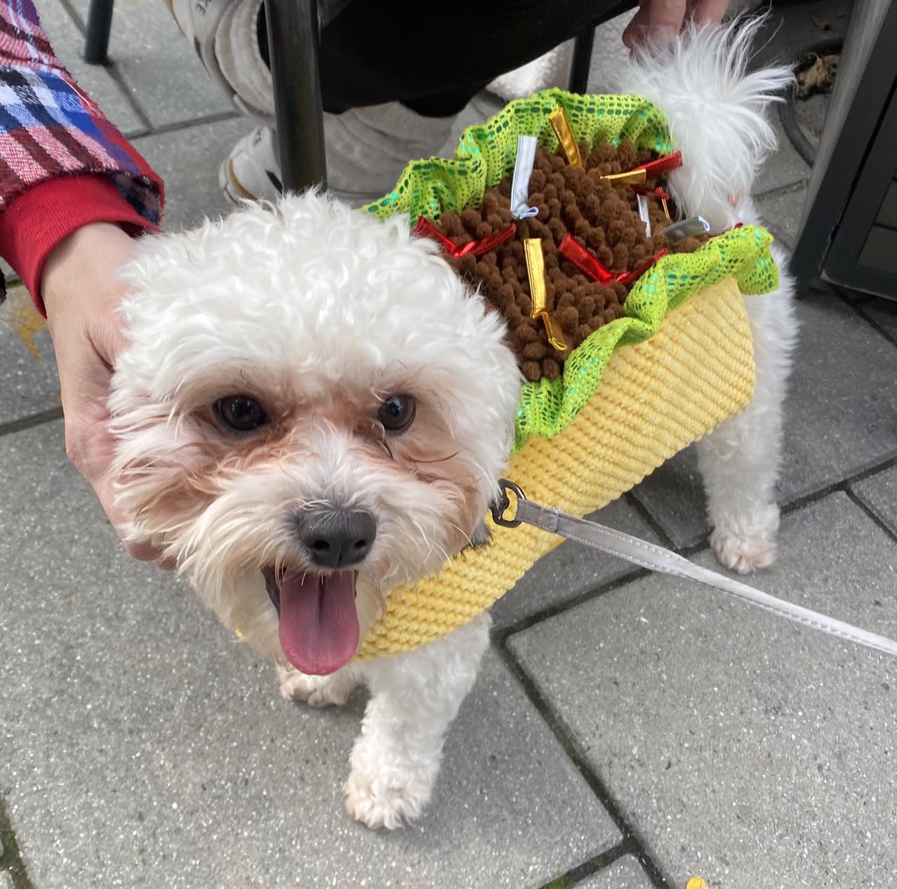 The Pour Yard Quincy