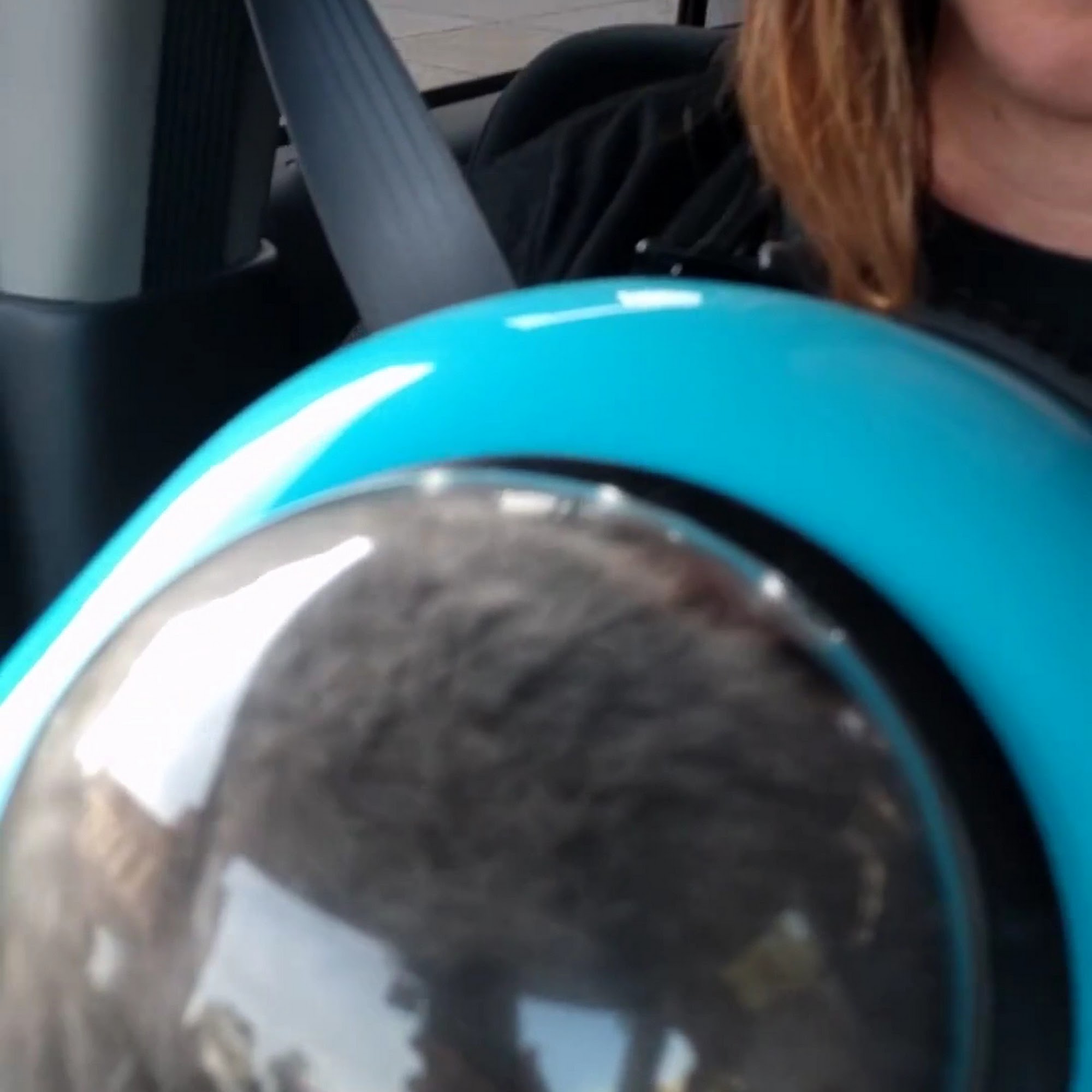 Hancock Animal Hospital Quincy