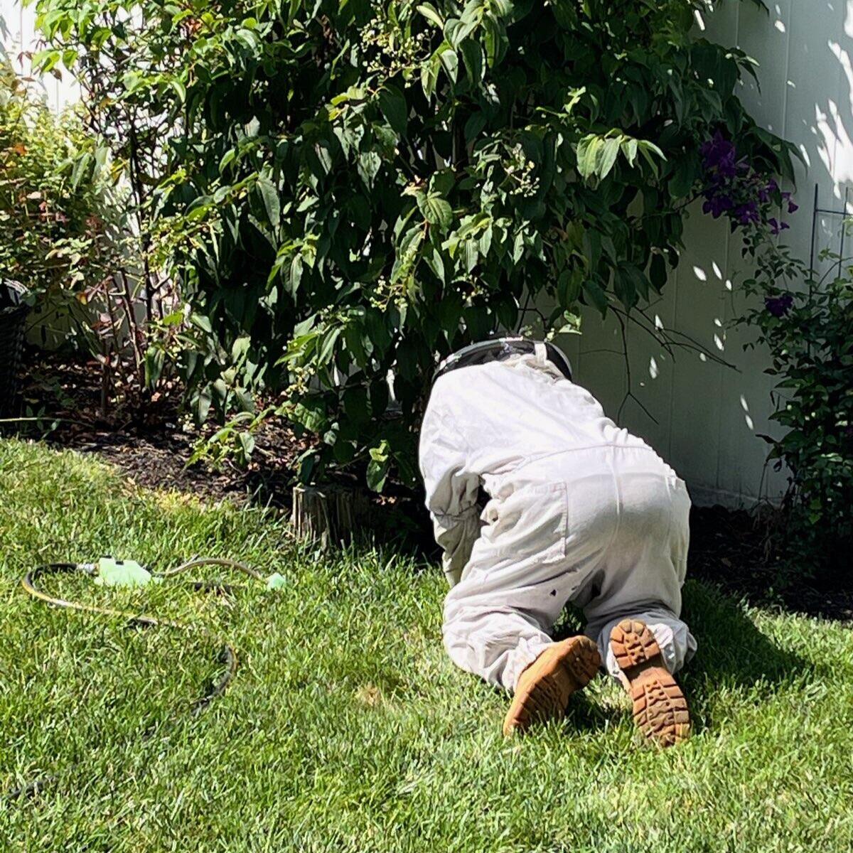Photo credit: nextdoor