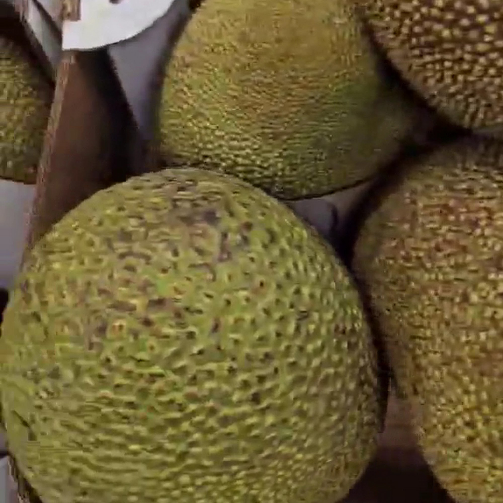 Sau Hoai Market Randolph