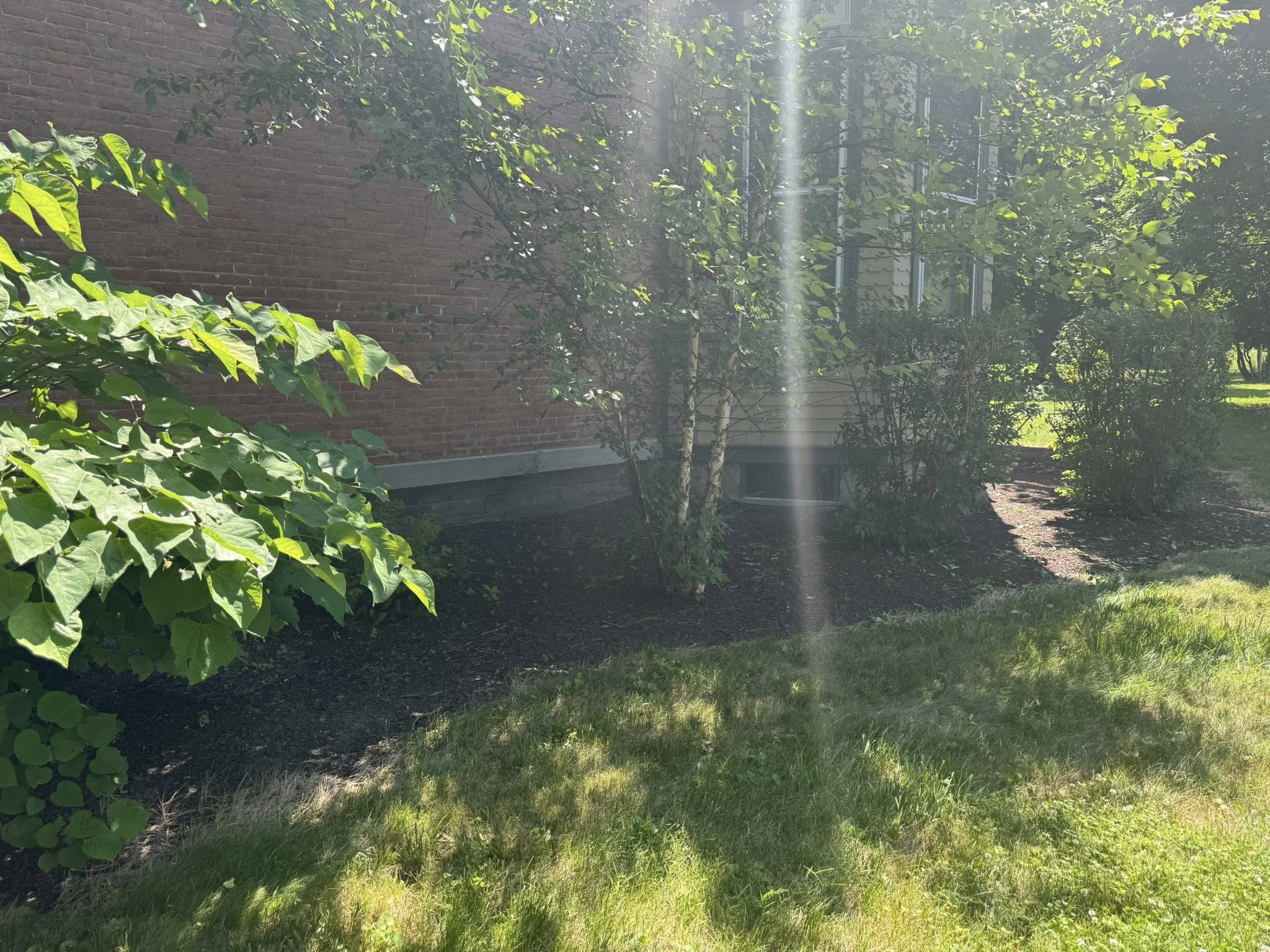 Ed's Lawn Service