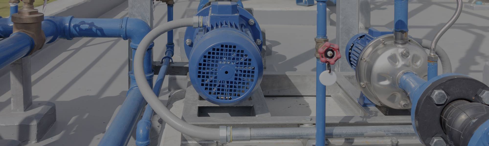 Fernco Services Inc