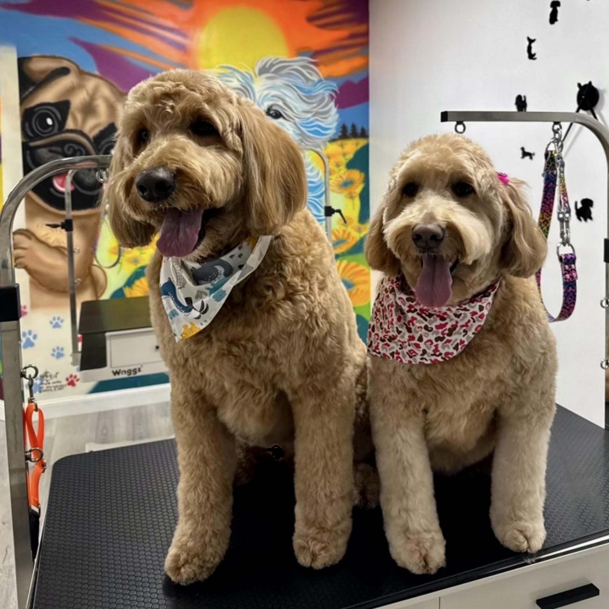 Paws Forever by Flor Revere