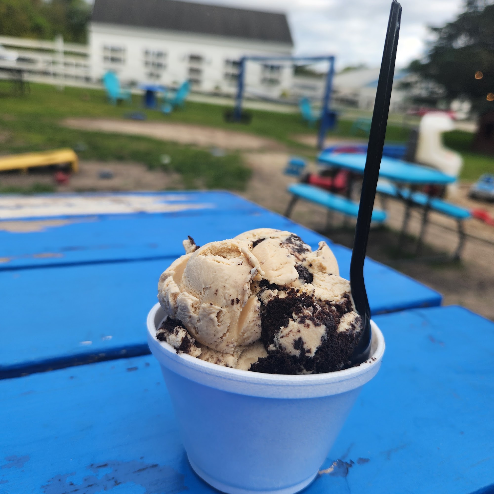 Captain Bonneys Ice Cream Rochester