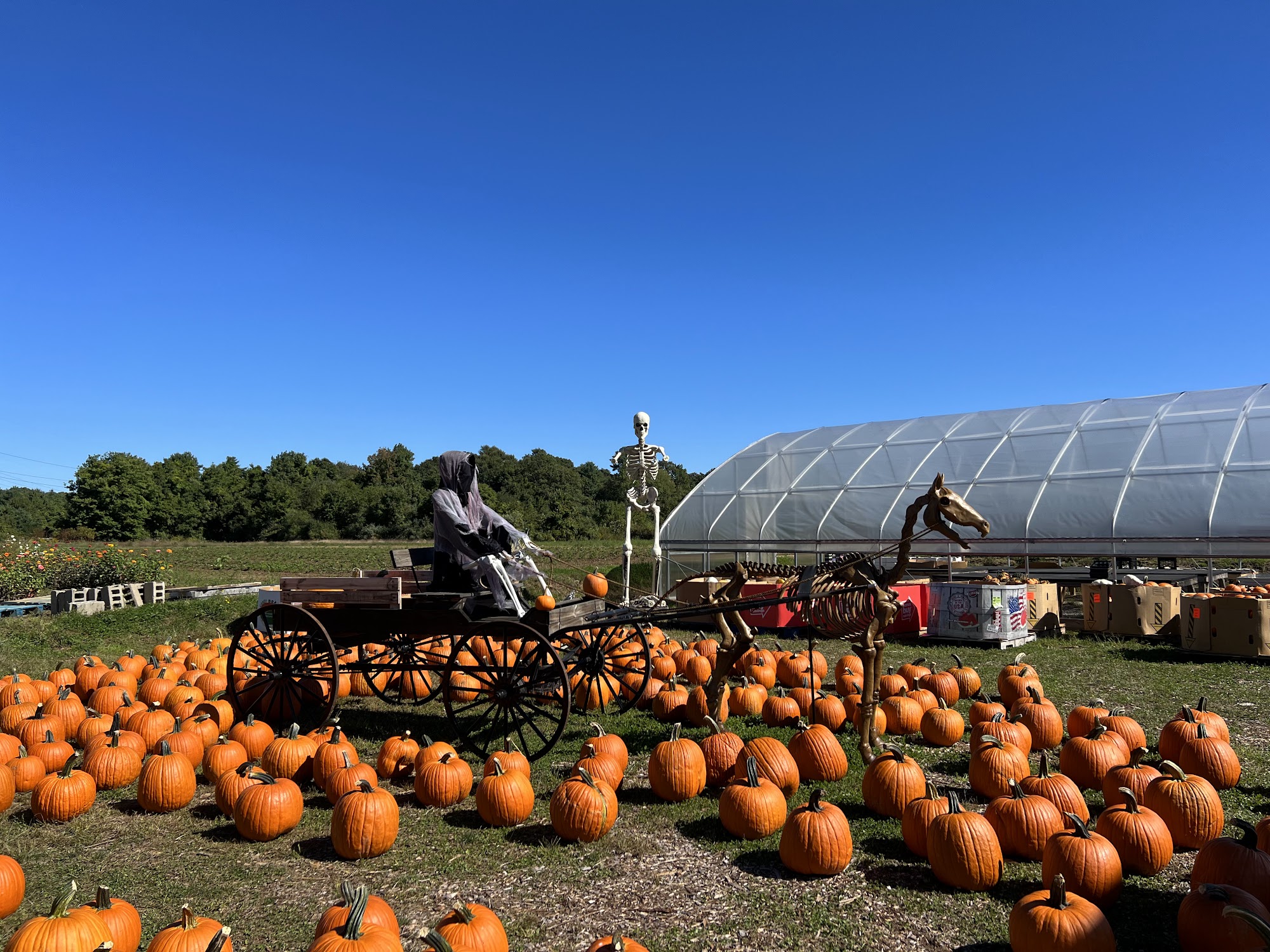 Cervelli Farm Stand Rochester