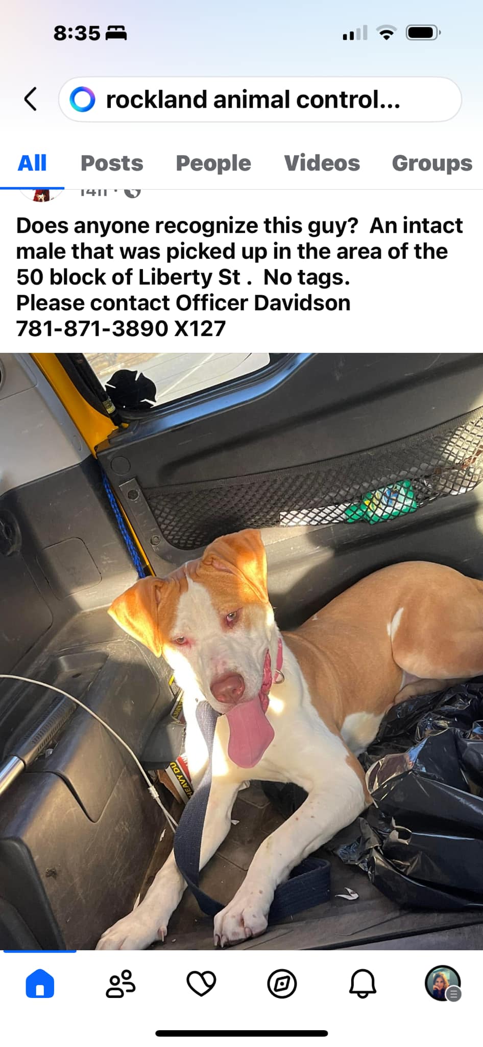 PAMPERED PAWS Rockland