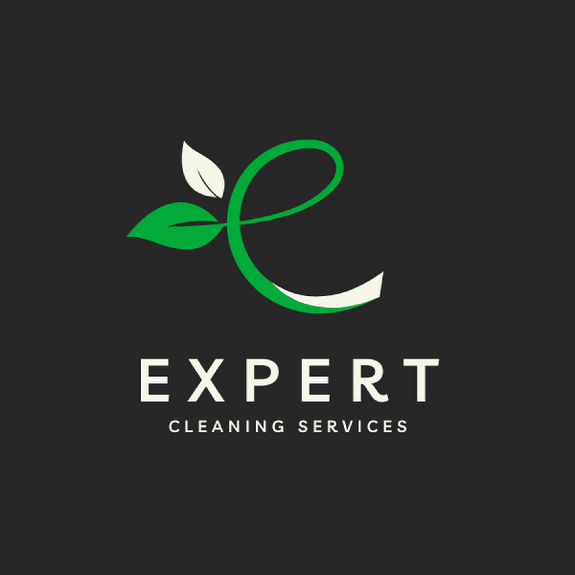 Expert Cleaning Services