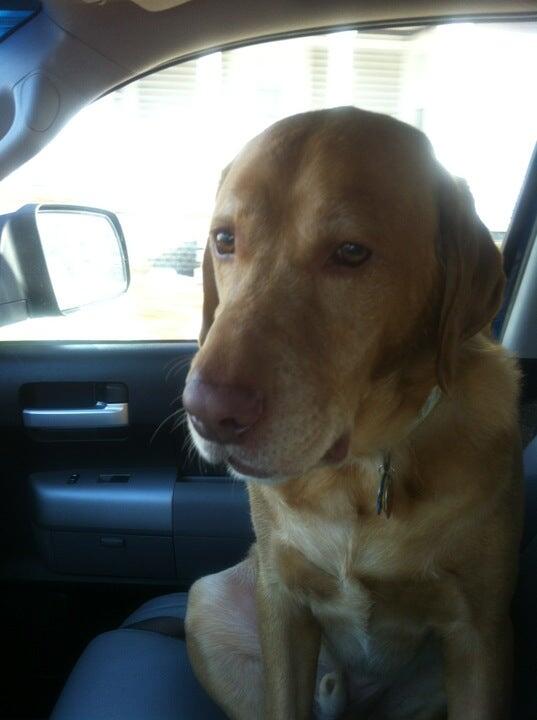 Muddy Creek Animal Care Center Rowley