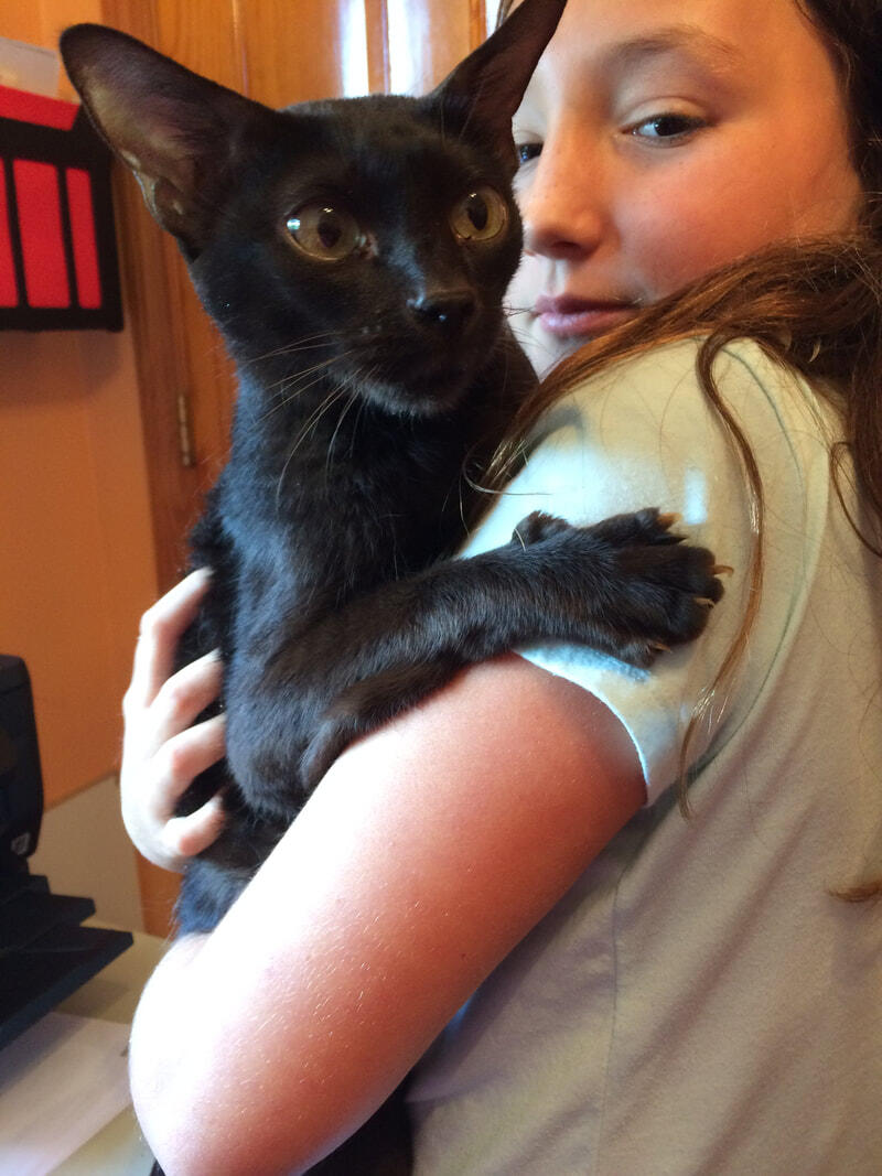 Camp Bridlewood Rowley