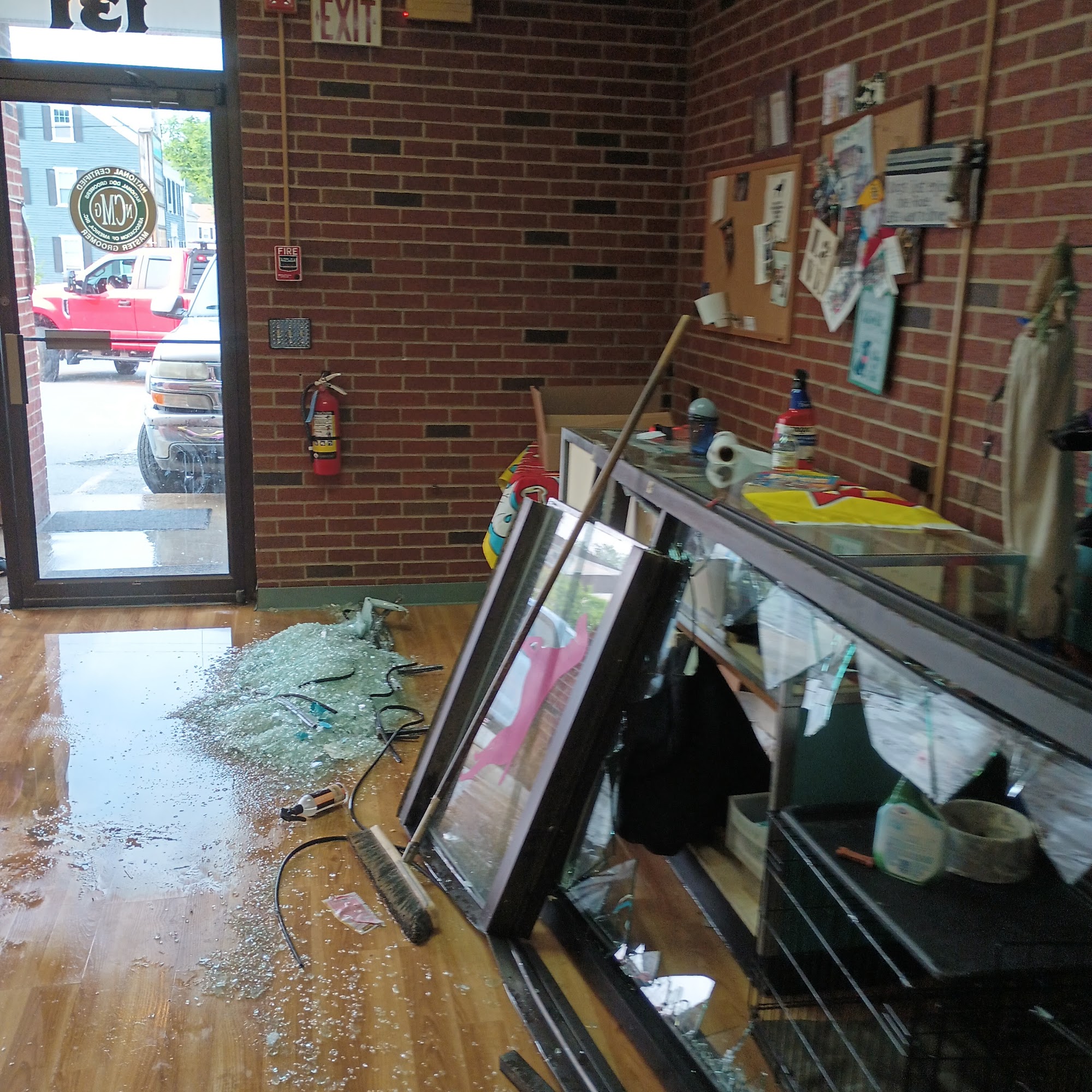 Alicyn's Laundro-Mutt Salem