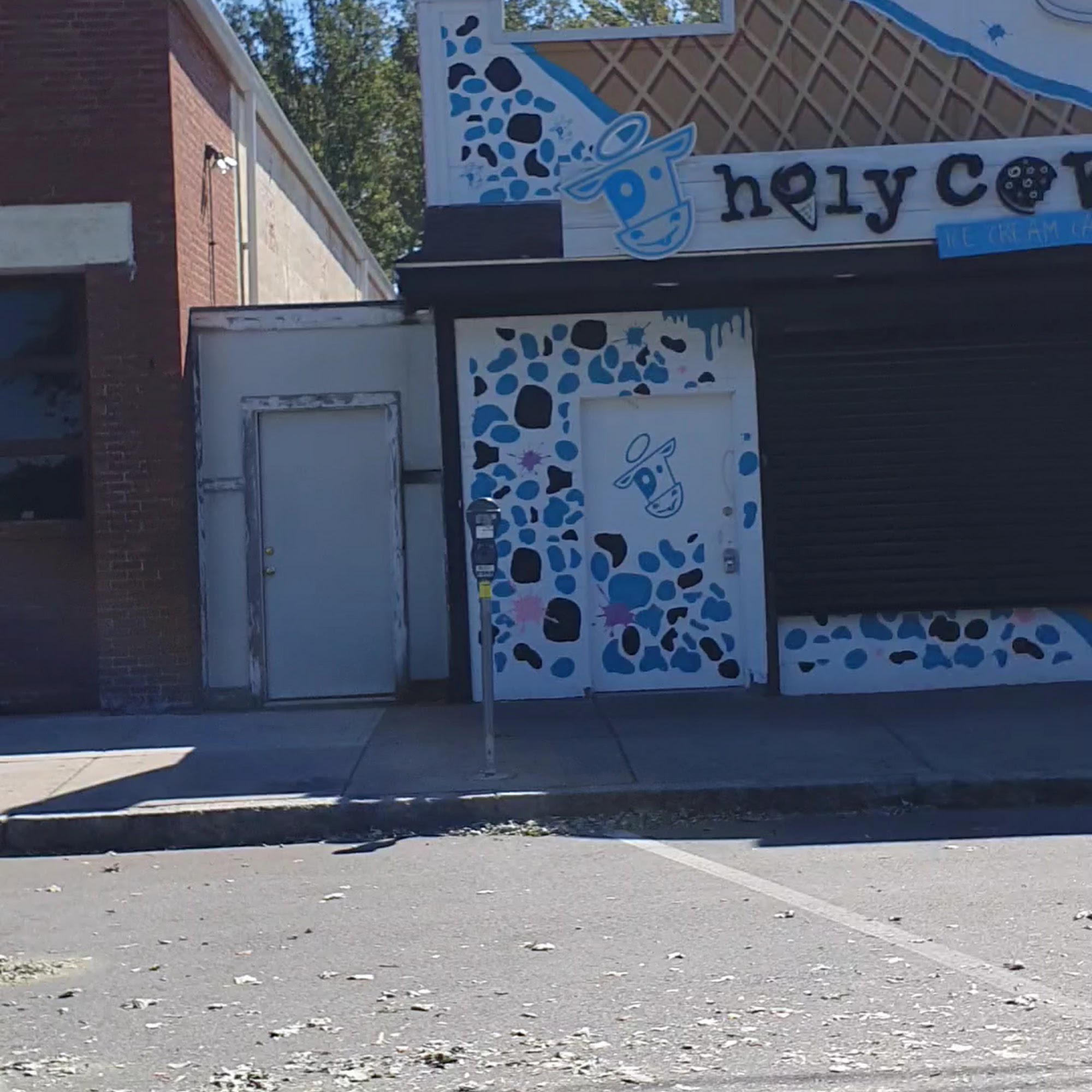 Holy Cow Ice Cream Cafe Salem