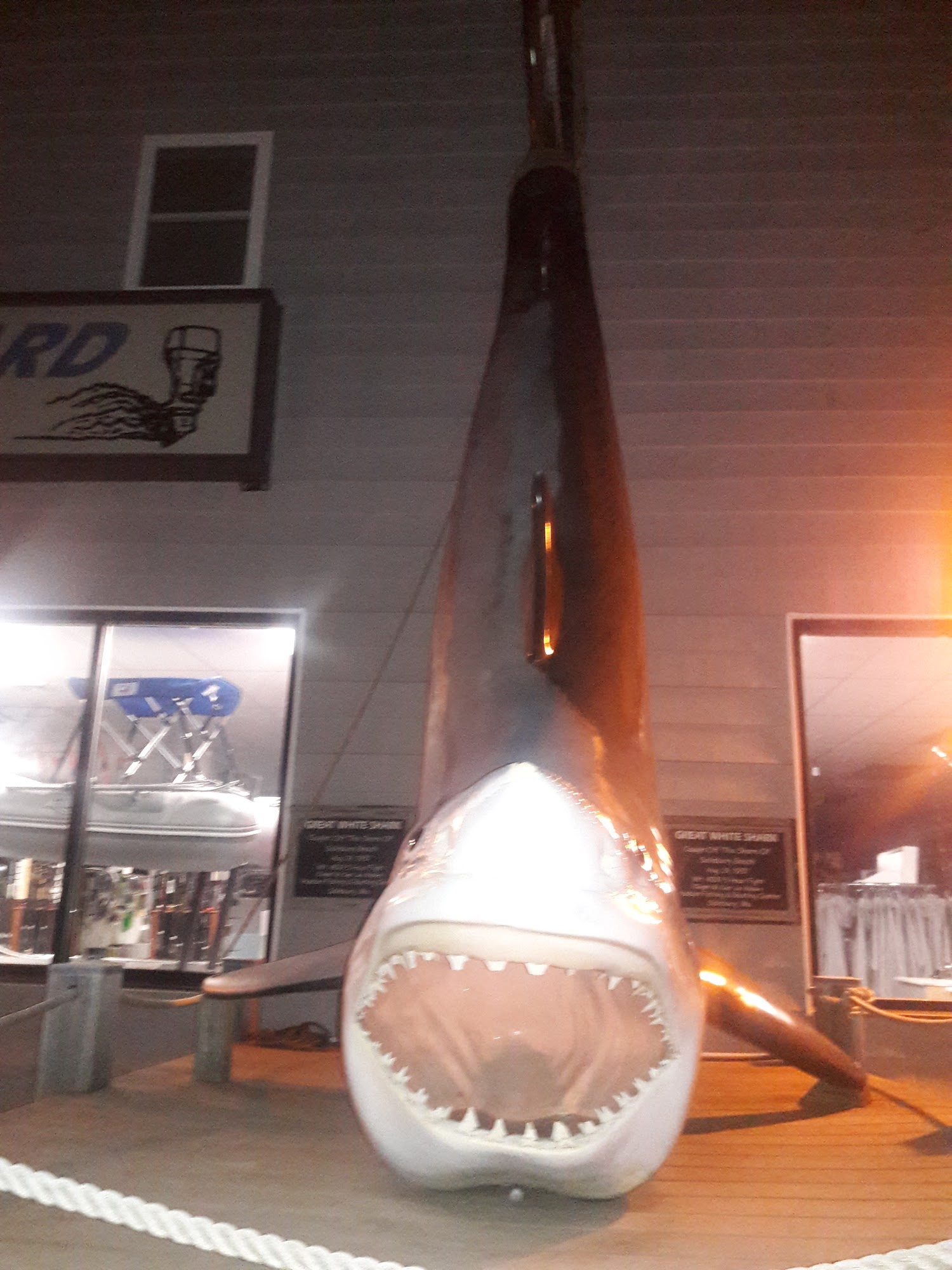 David's Fish Market Menu