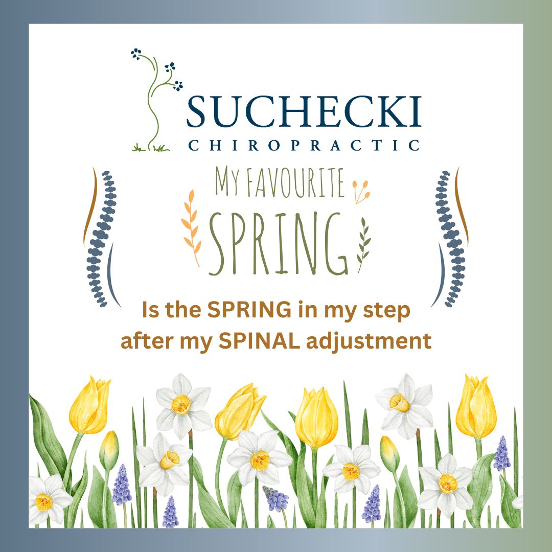 Suchecki Chiropractic; Luke Suchecki, D.C.
