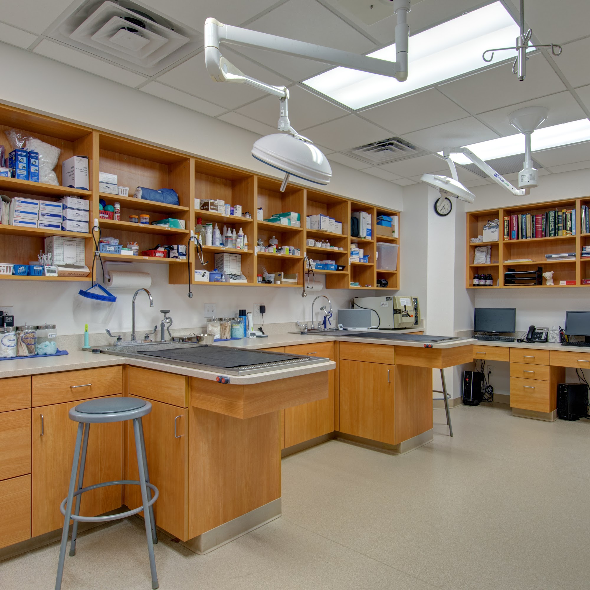 Shawme Animal Hospital Sandwich