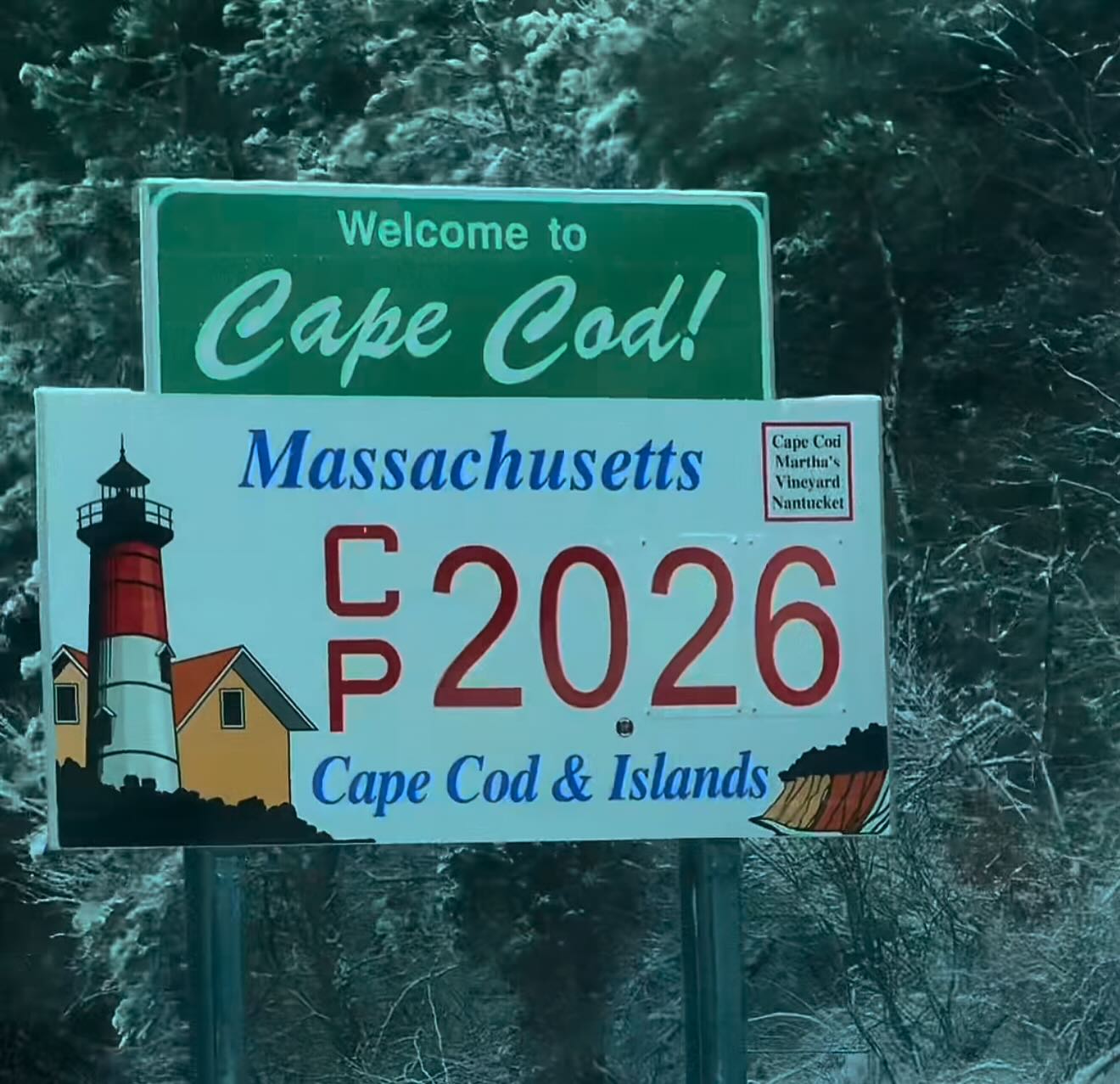 Dennis Parasail Sandwich