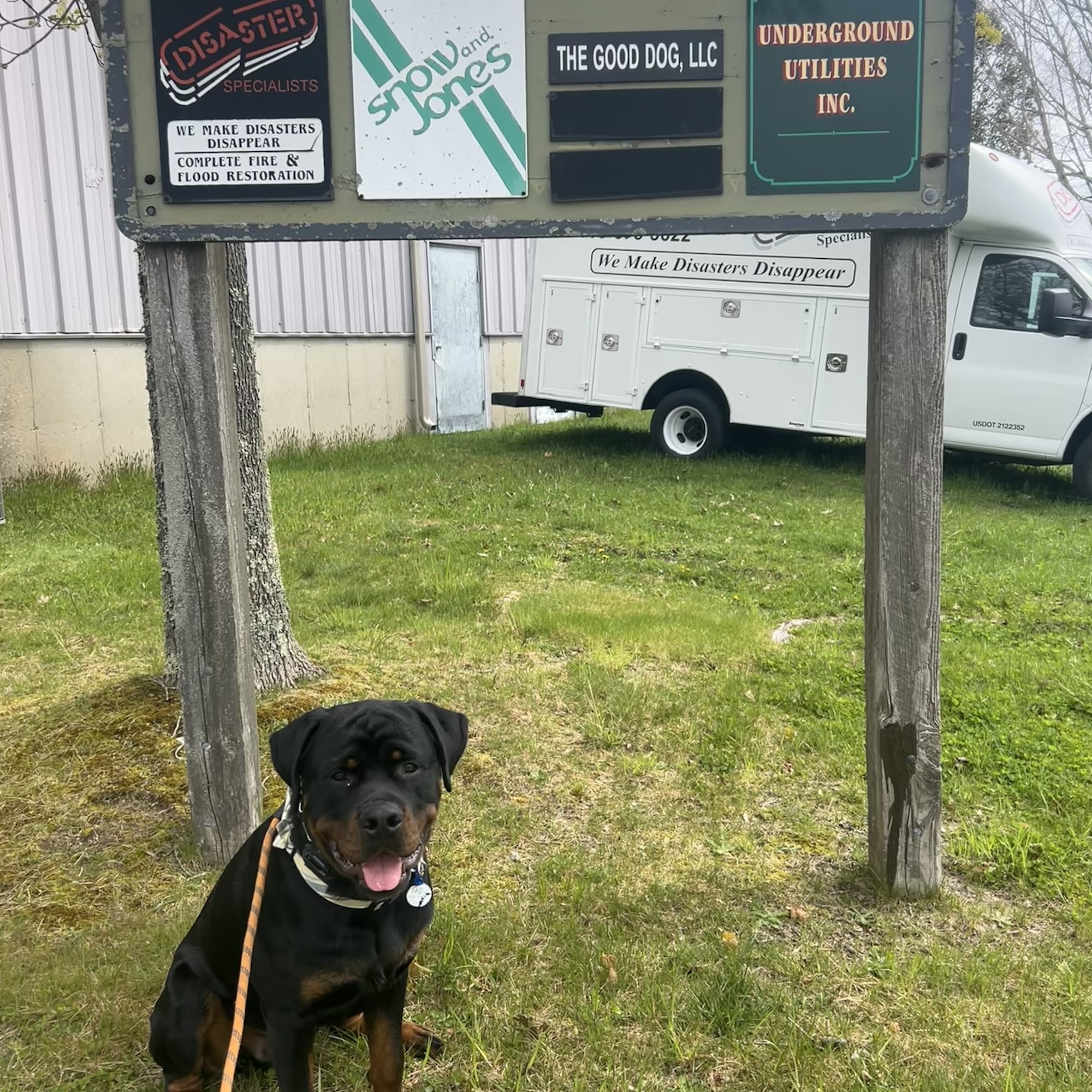 The Good Dog LLC