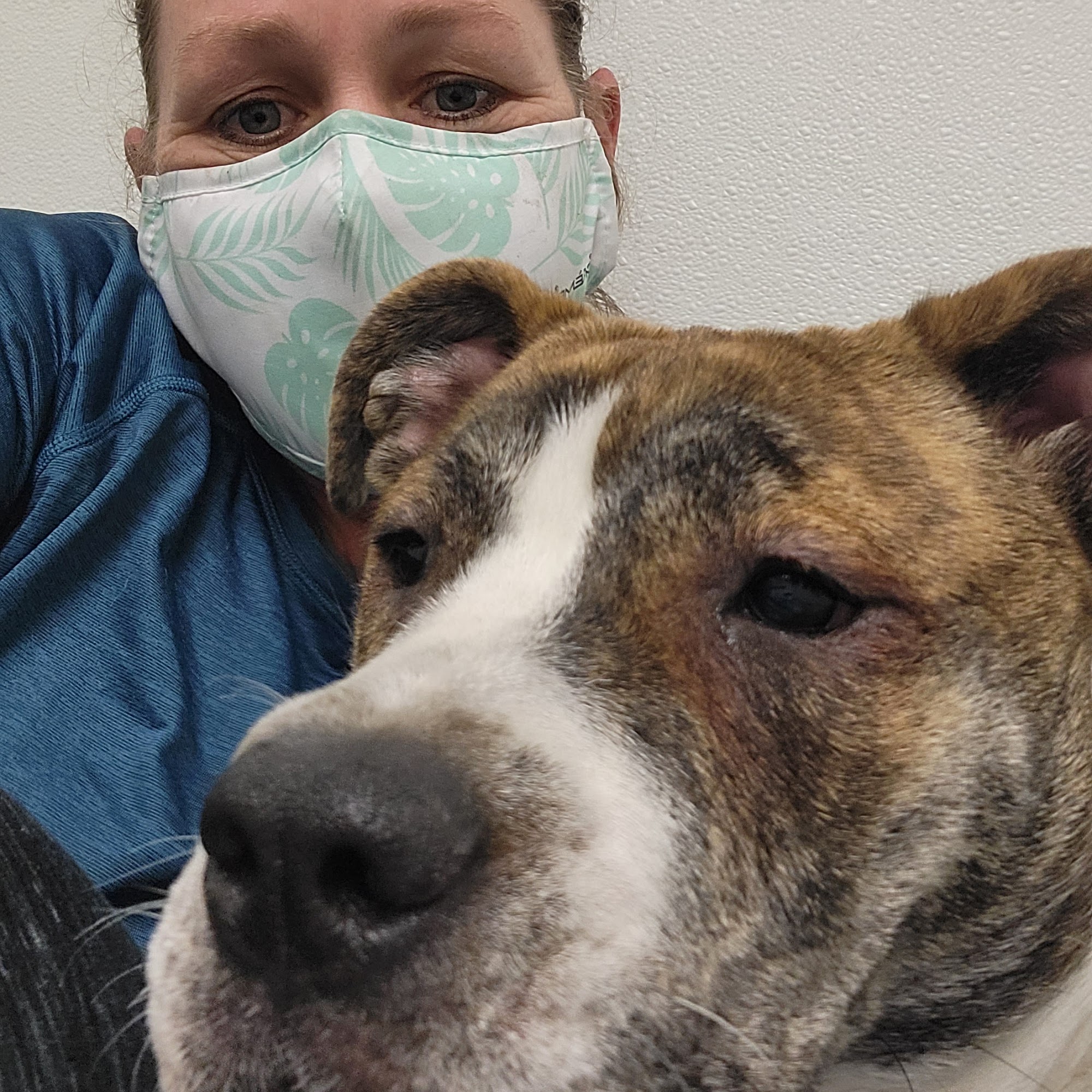 Dr. William Truesdale Seekonk