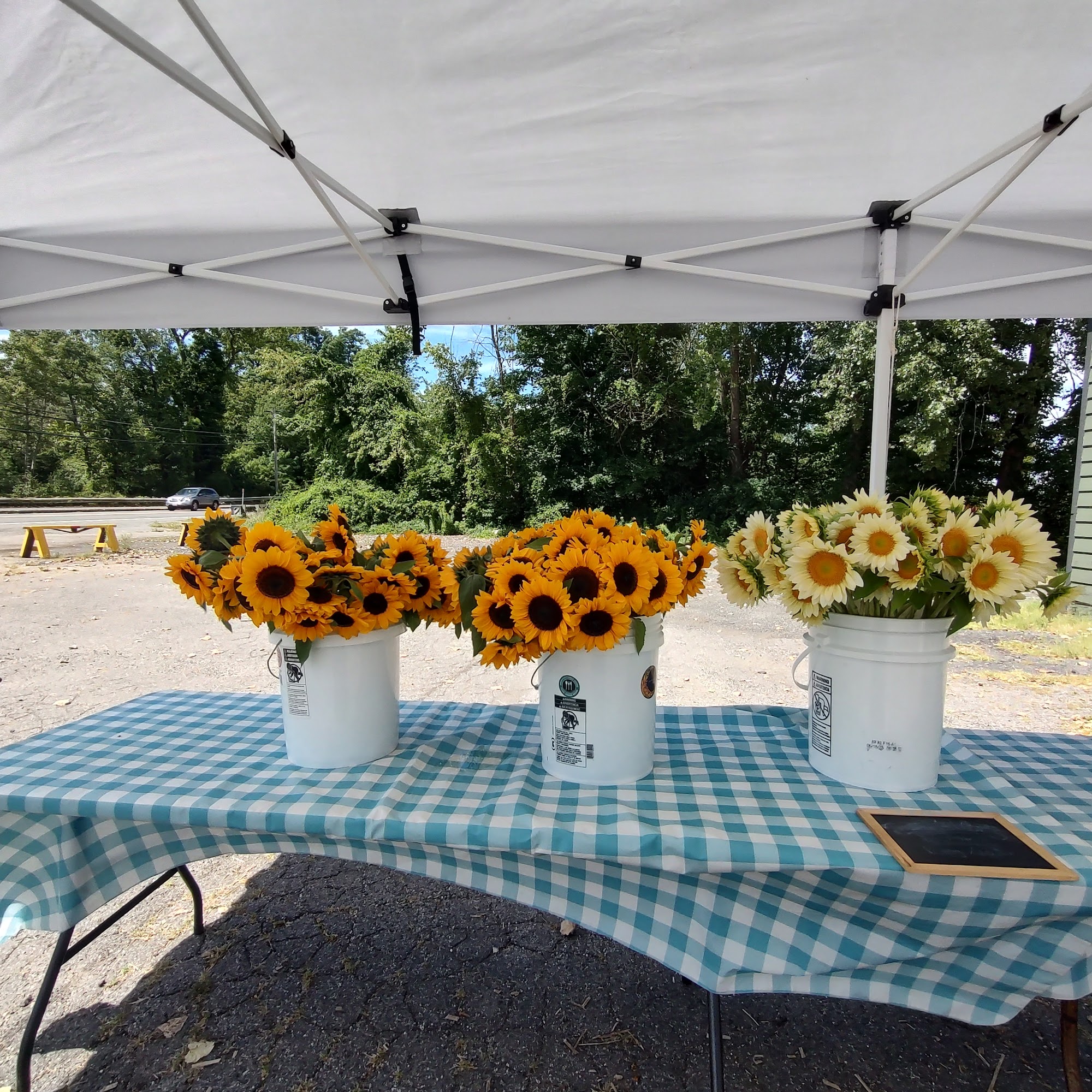 Moonflower Farm and Floral