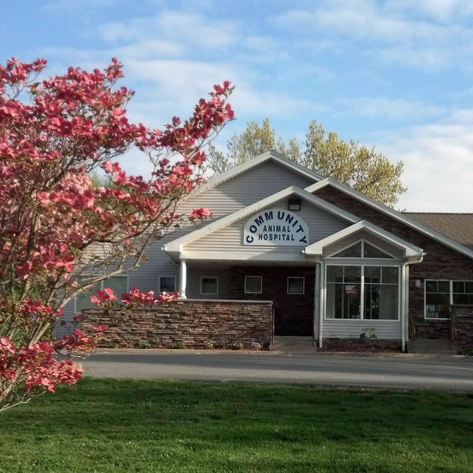 Community Animal Hospital Shrewsbury