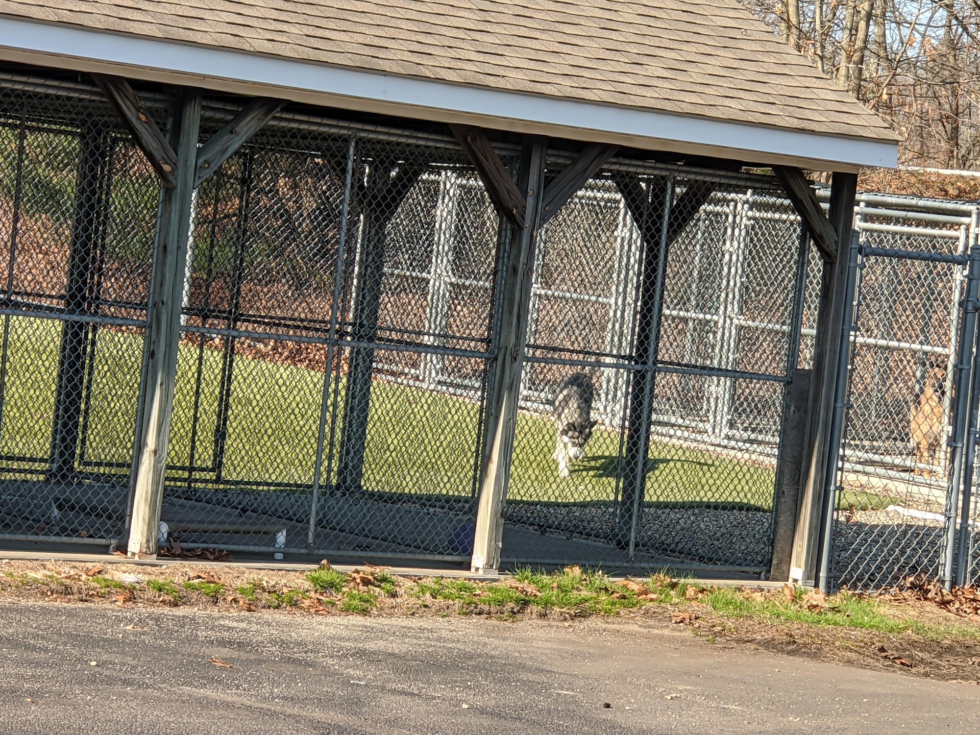 Community Animal Inn & Spa Shrewsbury