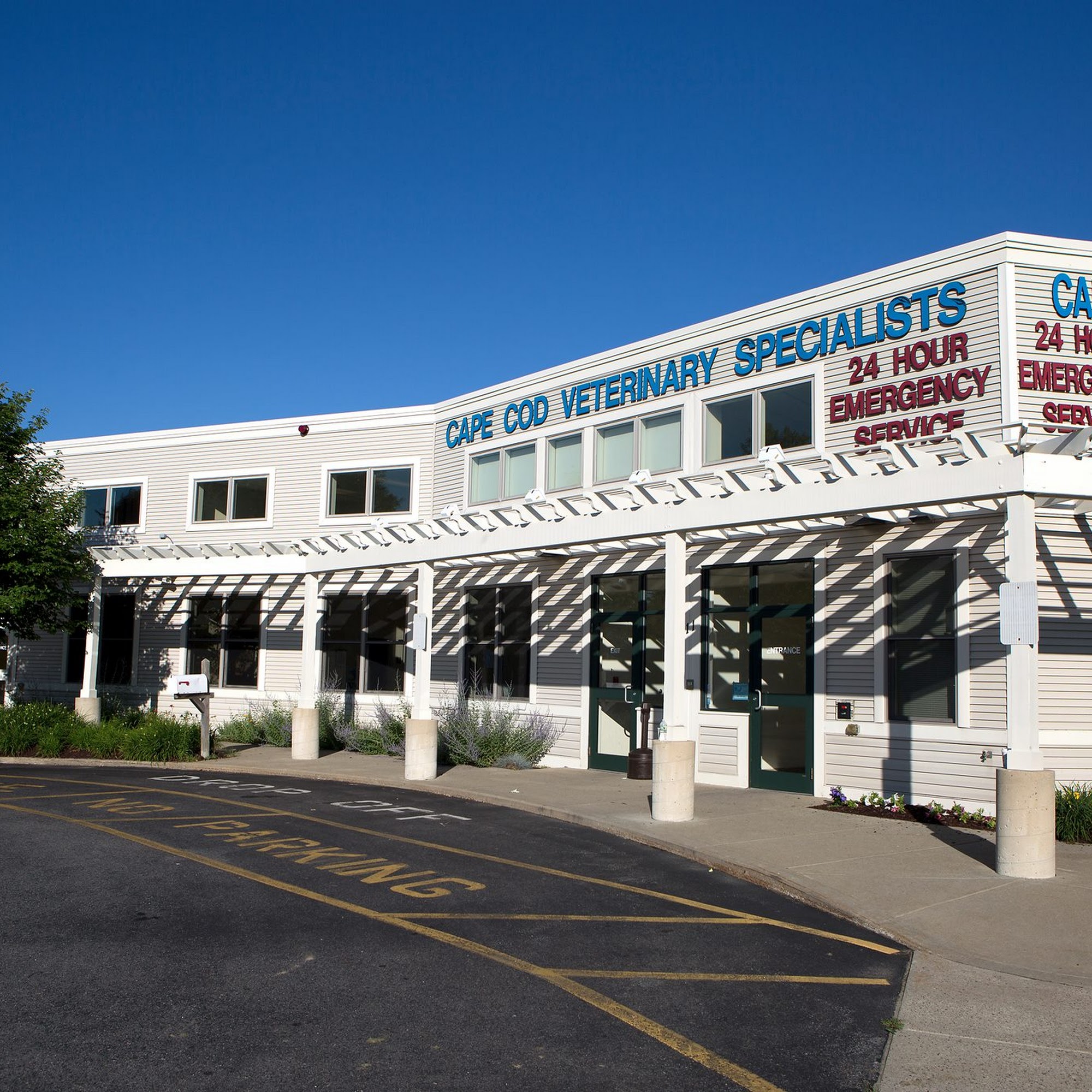 Cape Cod Veterinary Specialists Dennis South Dennis
