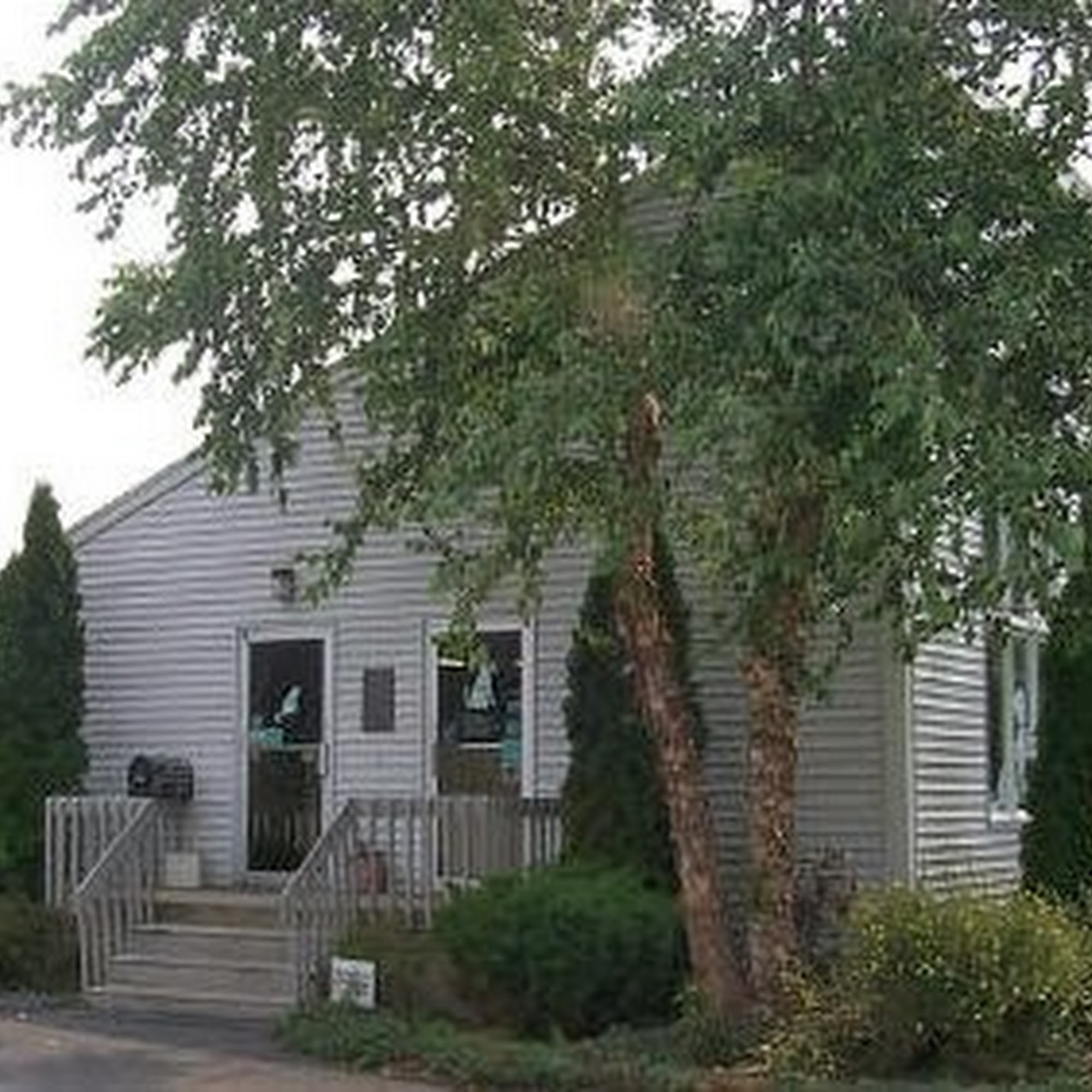 All Creatures Great & Small Animal Hospital South Hadley