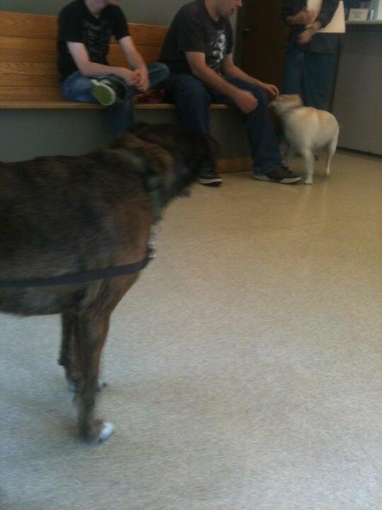 Photo credit: nextdoor