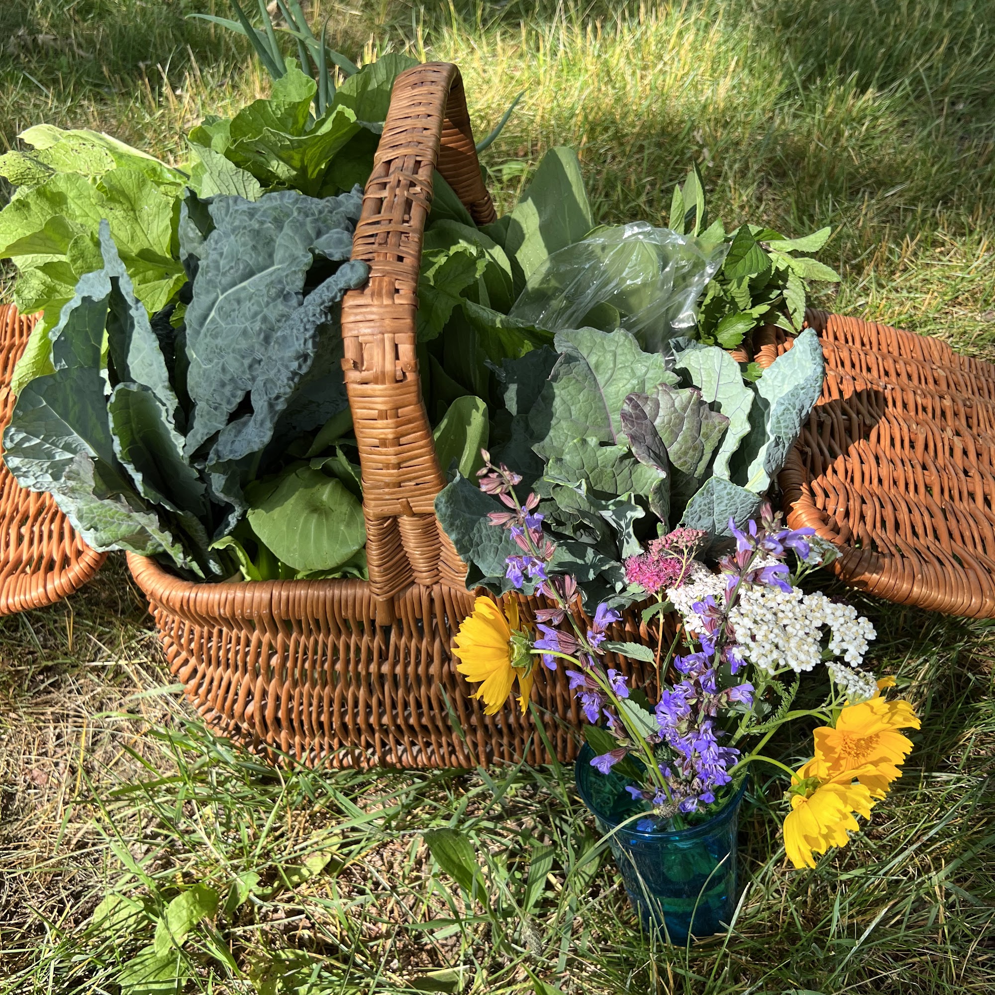 Nordica Street Community Farm Springfield
