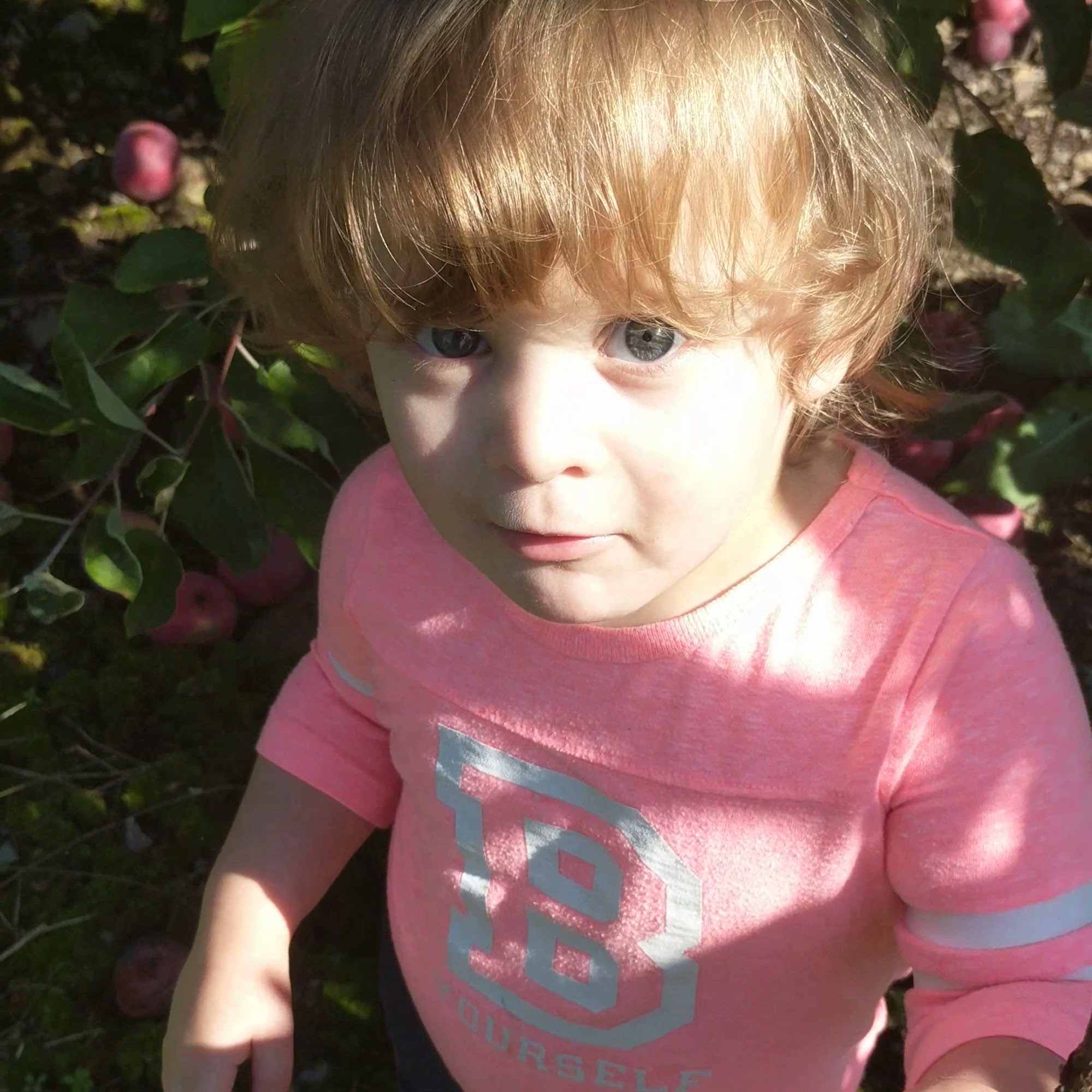 Meadowbrook Orchards Sterling