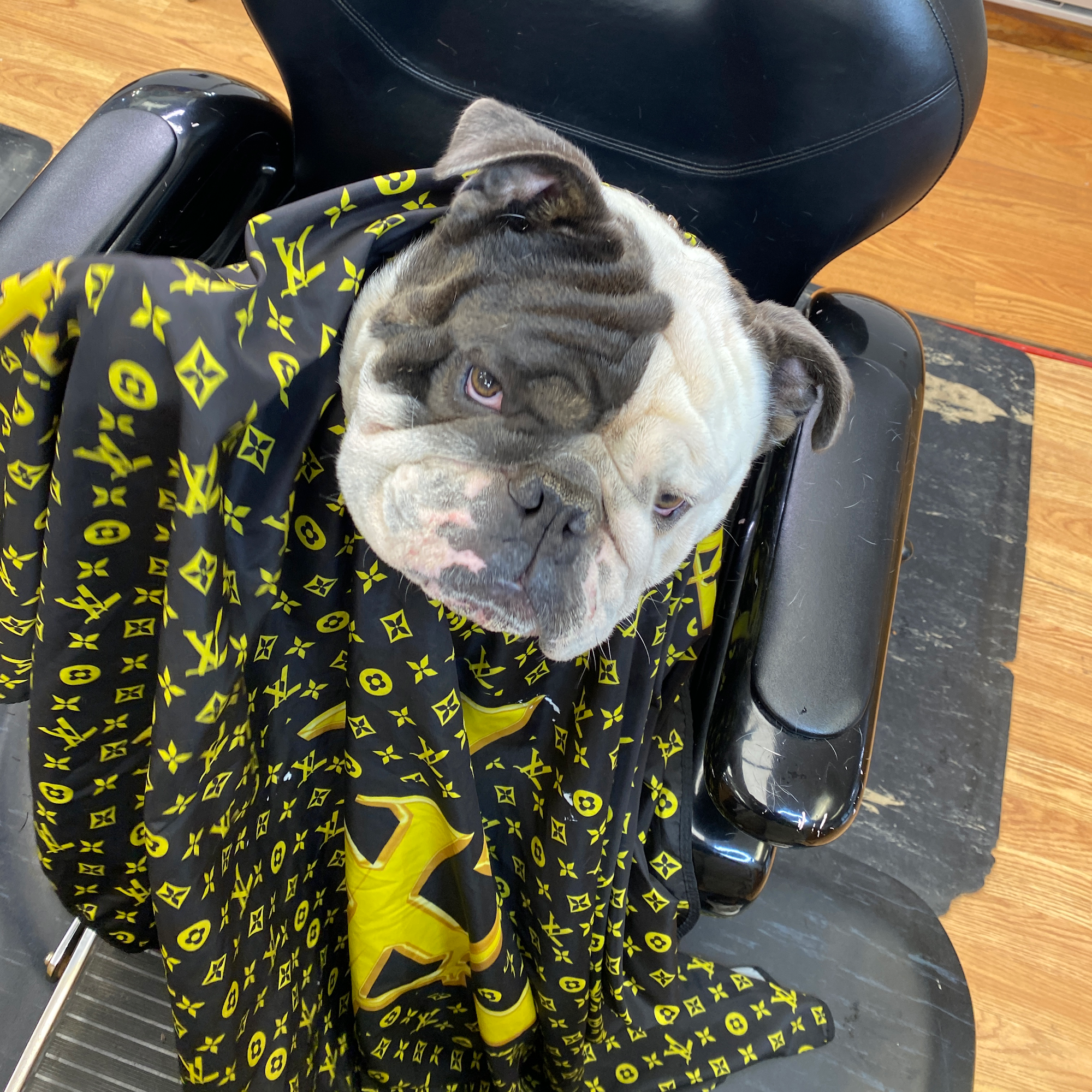 Pat's Place 416 Main St, Stoneham Massachusetts 02180