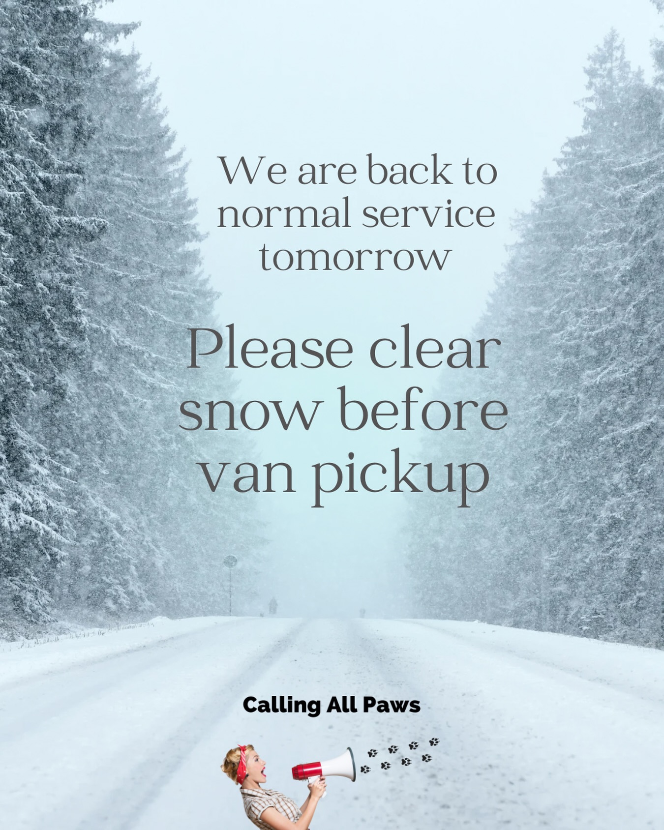 Calling all paws Stoughton