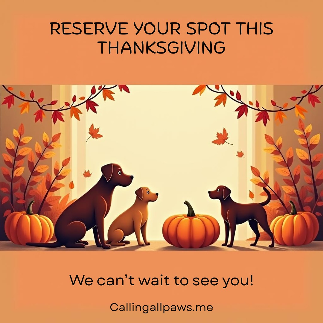 Calling all paws Stoughton