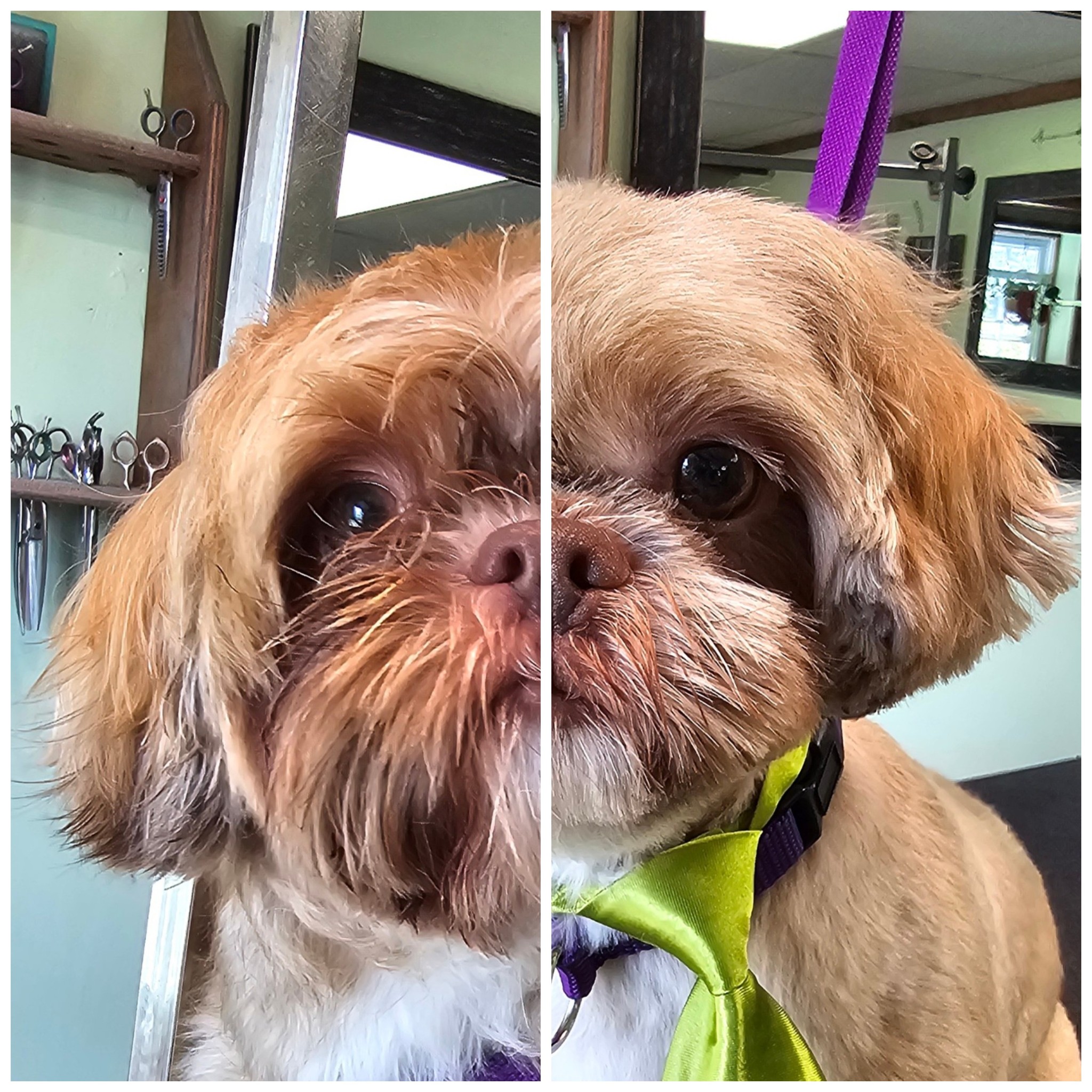 Creature Features Sturbridge