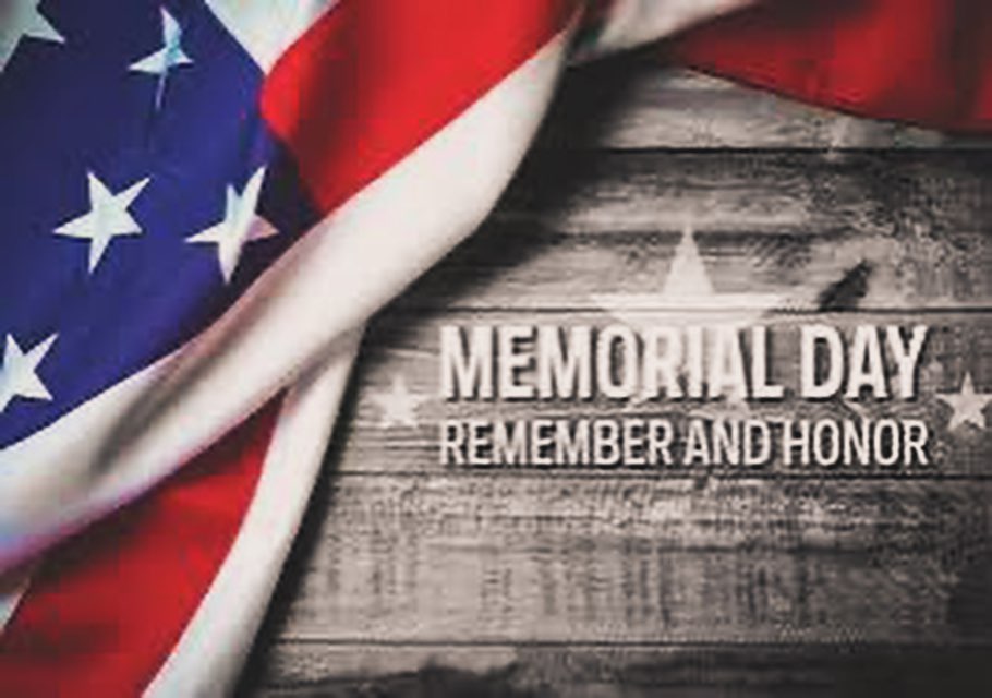 Timber Tech Tree Service LLC