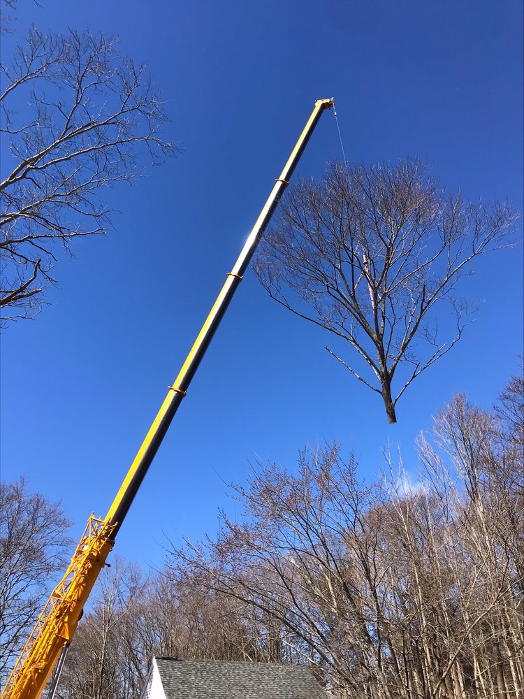 Rusty's Tree Service, Inc.