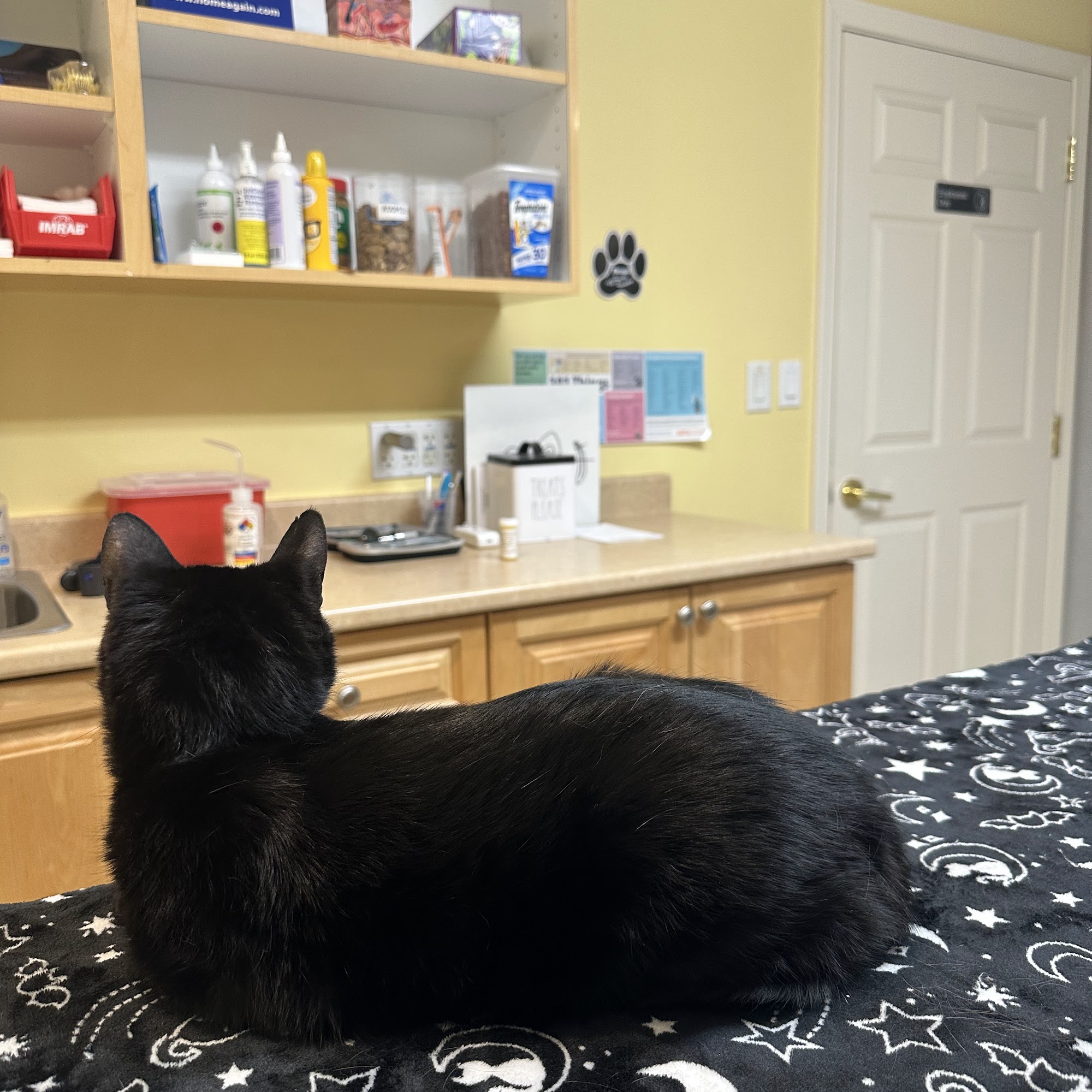 Boston Road Animal Clinic Sutton