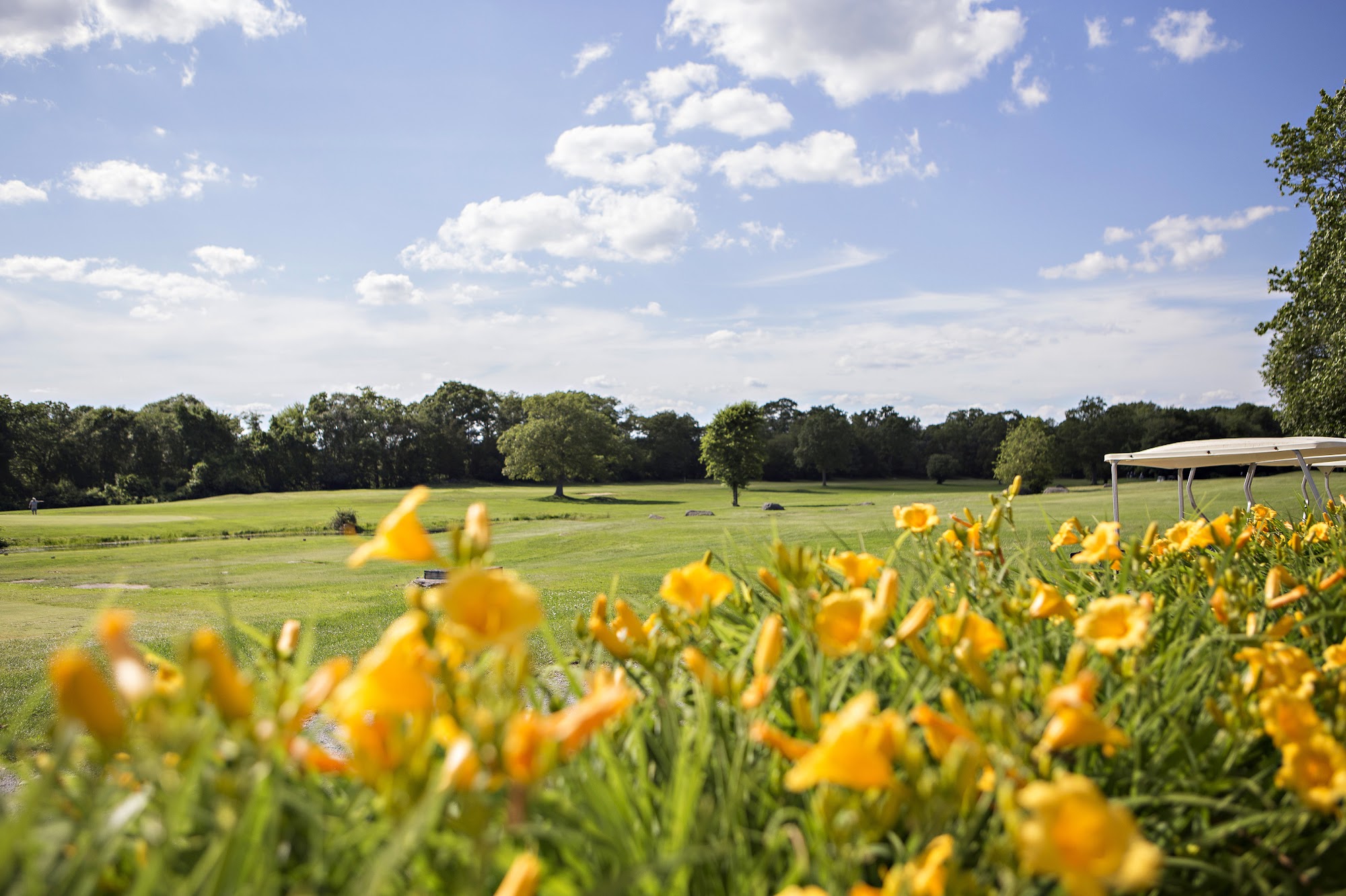 Touisset Country Club Swansea