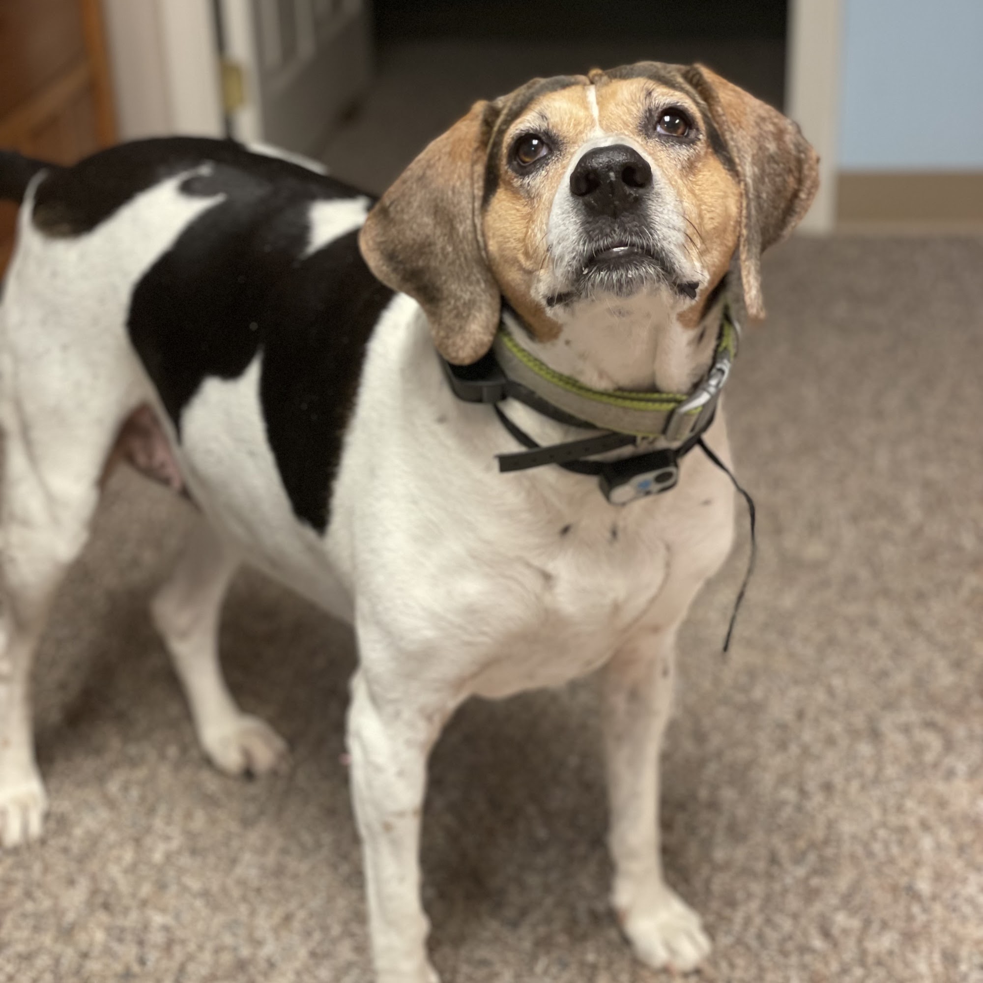 Putnam Veterinary Clinic Topsfield