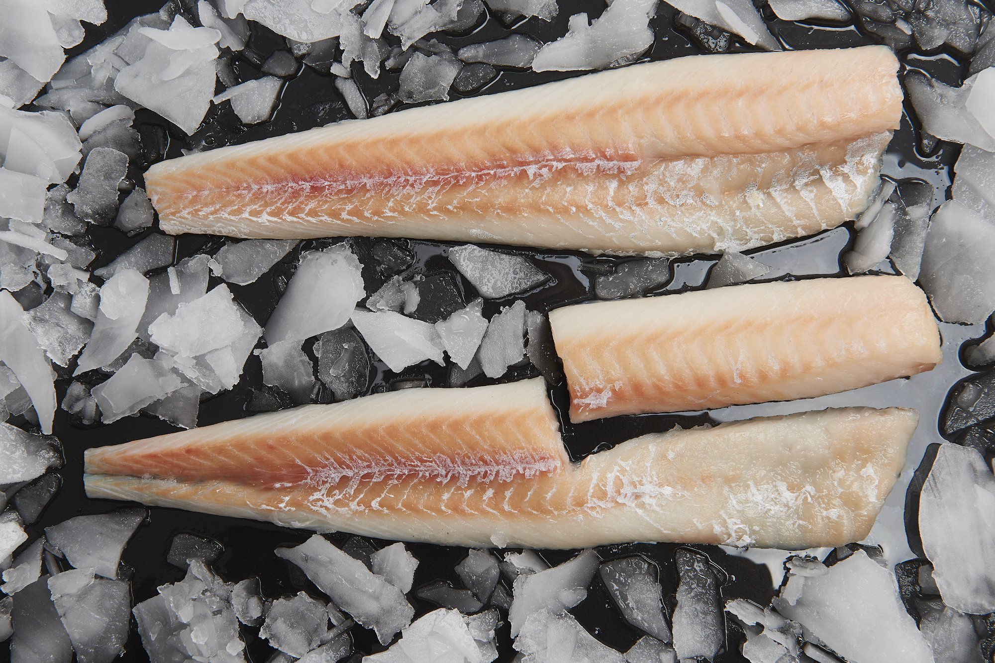 Rainbow Seafoods Inc