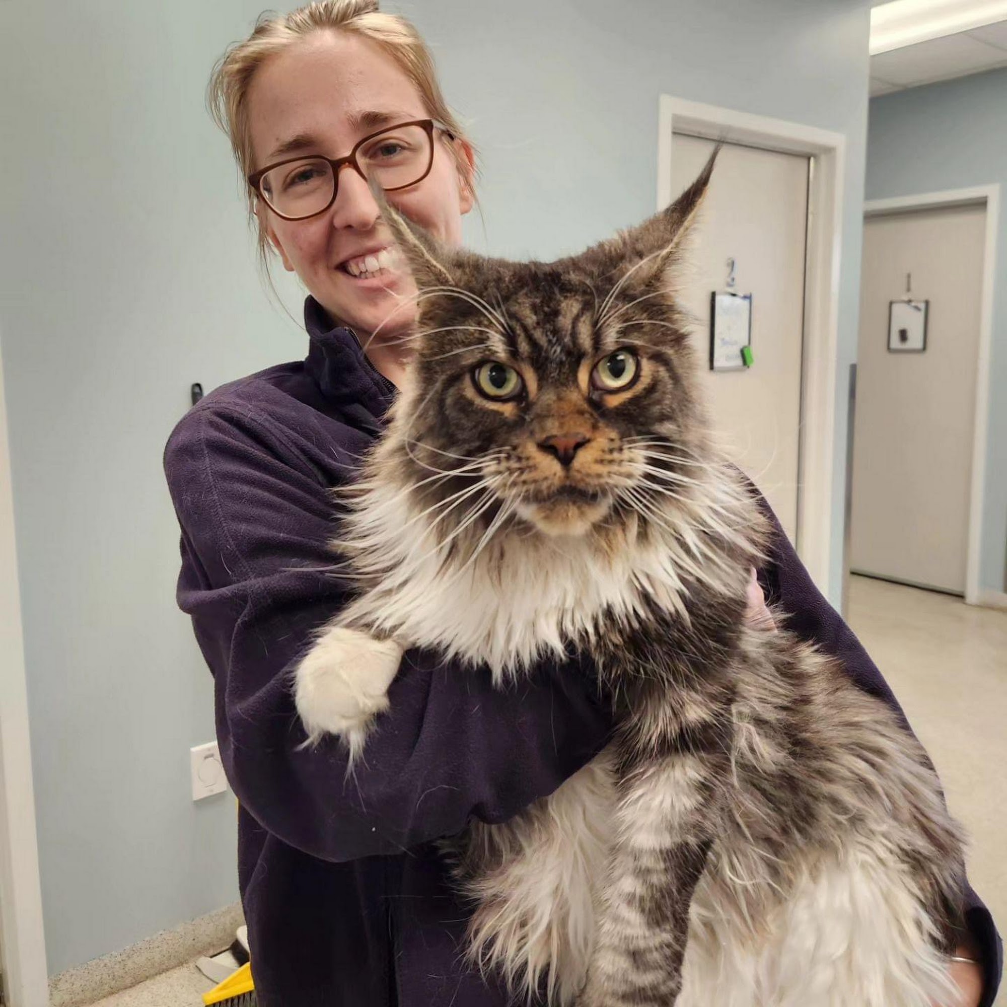 Uxbridge Animal Hospital Uxbridge