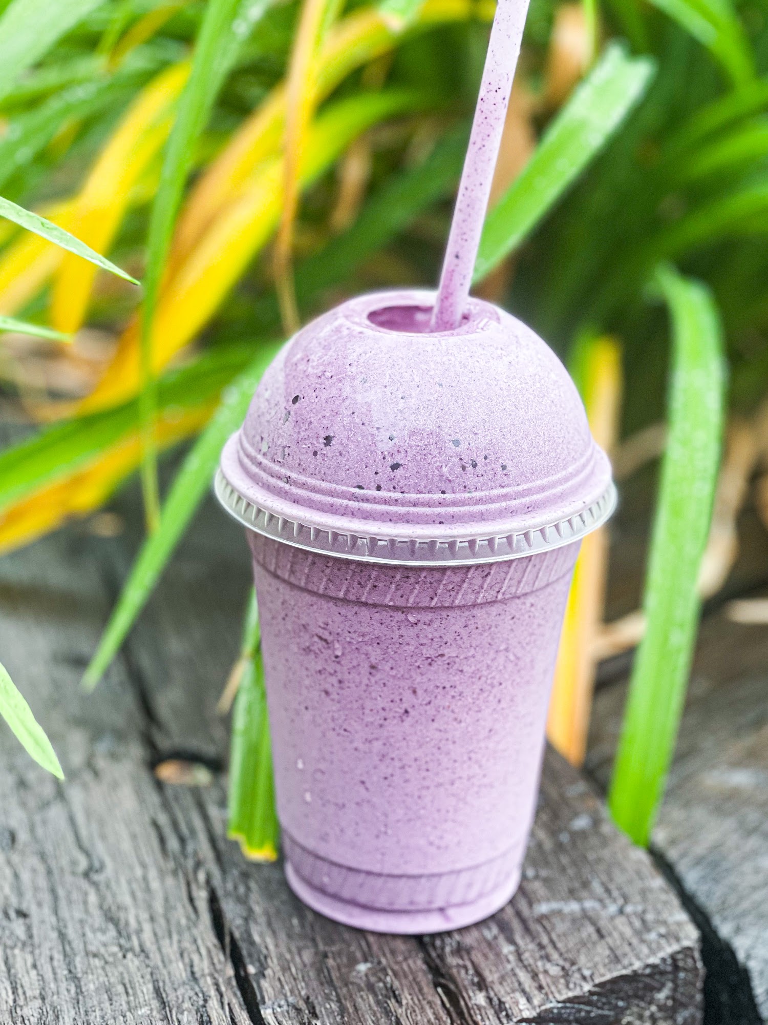 Tisberry Cafe: Frozen Yogurt, Smoothies and Superfood Bowls Vineyard Haven