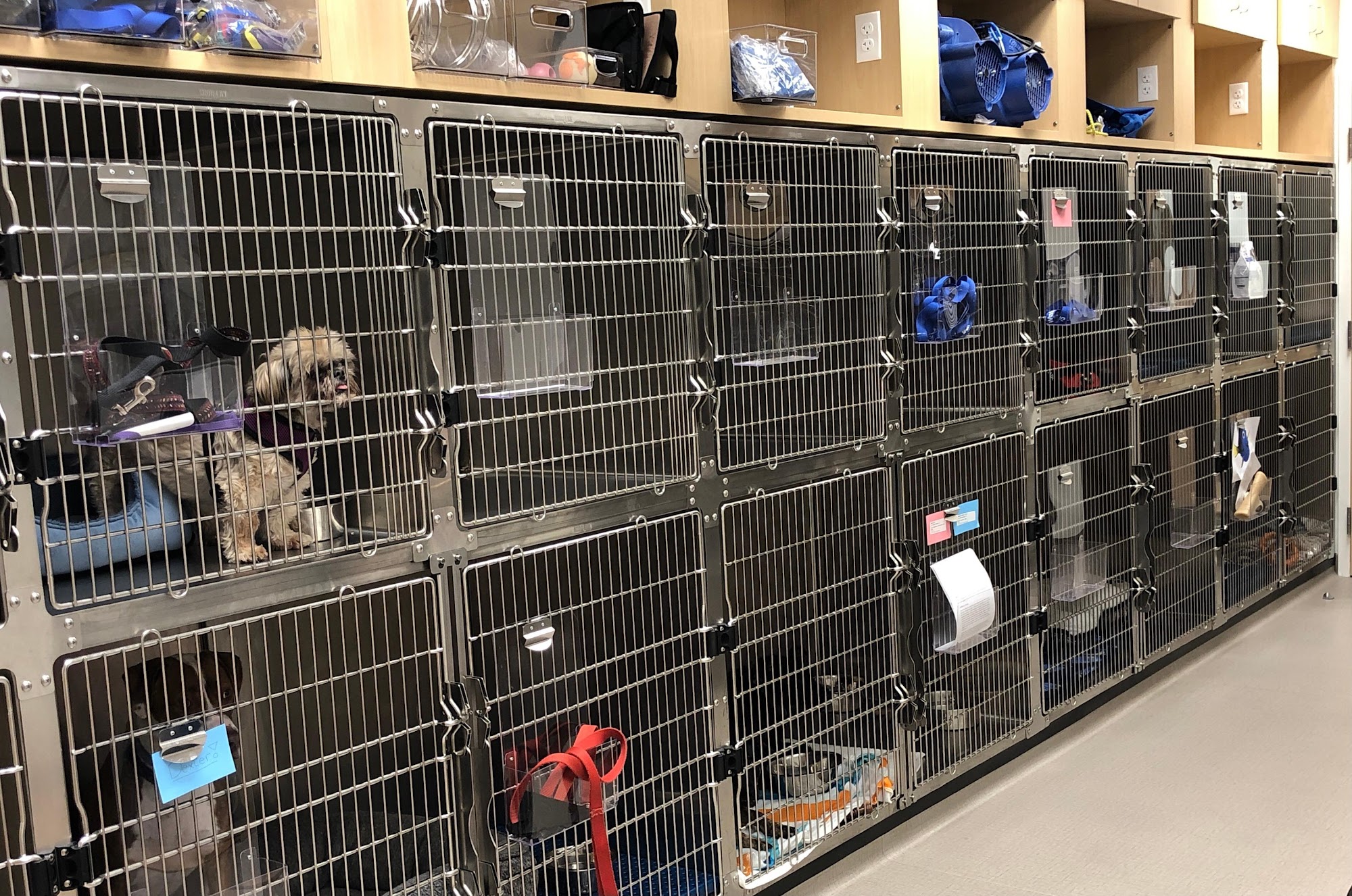 VCA Wakefield Animal Hospital Wakefield