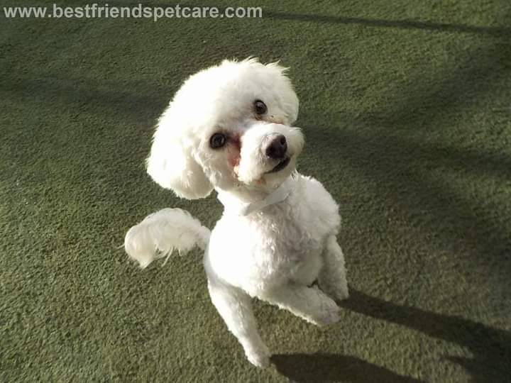 VCA Lynnfield by the Lake Animal Hospital Wakefield